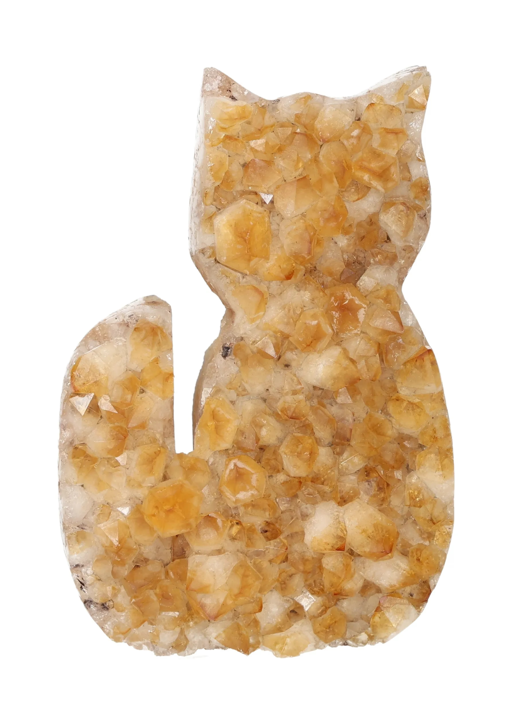 orbitvu|type:image2d