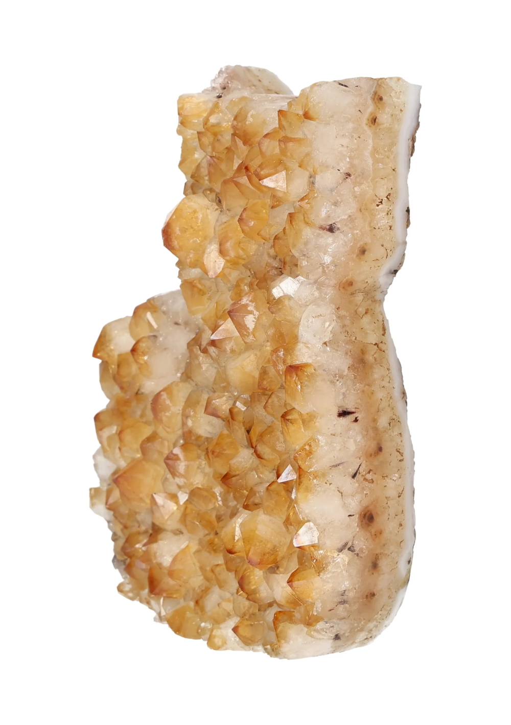 orbitvu|type:image2d