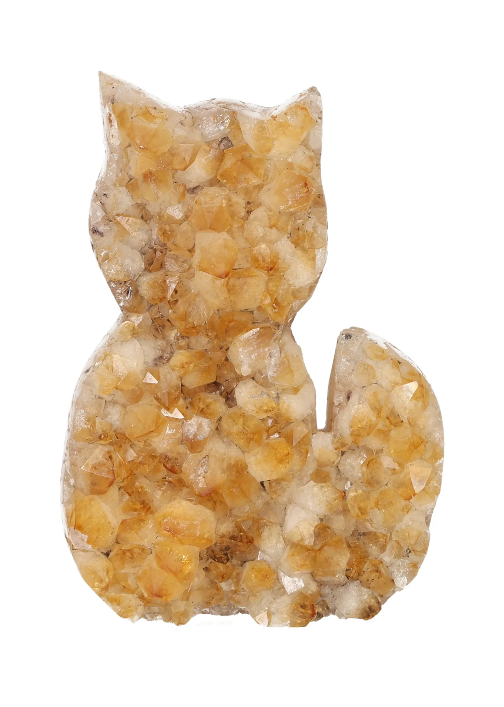 orbitvu|type:image2d