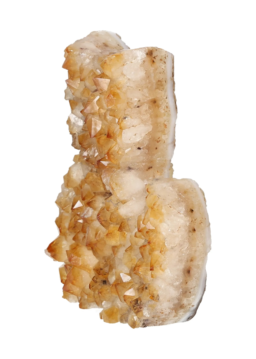 orbitvu|type:image2d