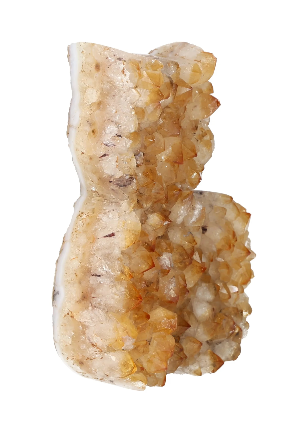 orbitvu|type:image2d