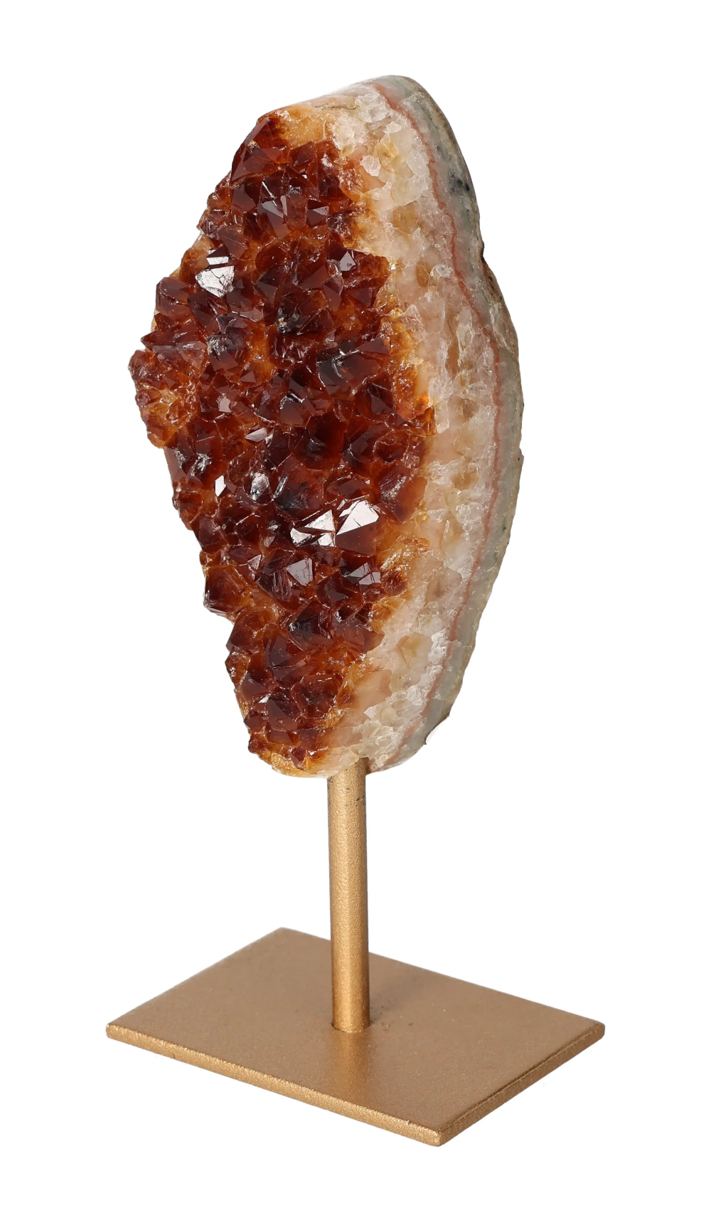 orbitvu|type:image2d