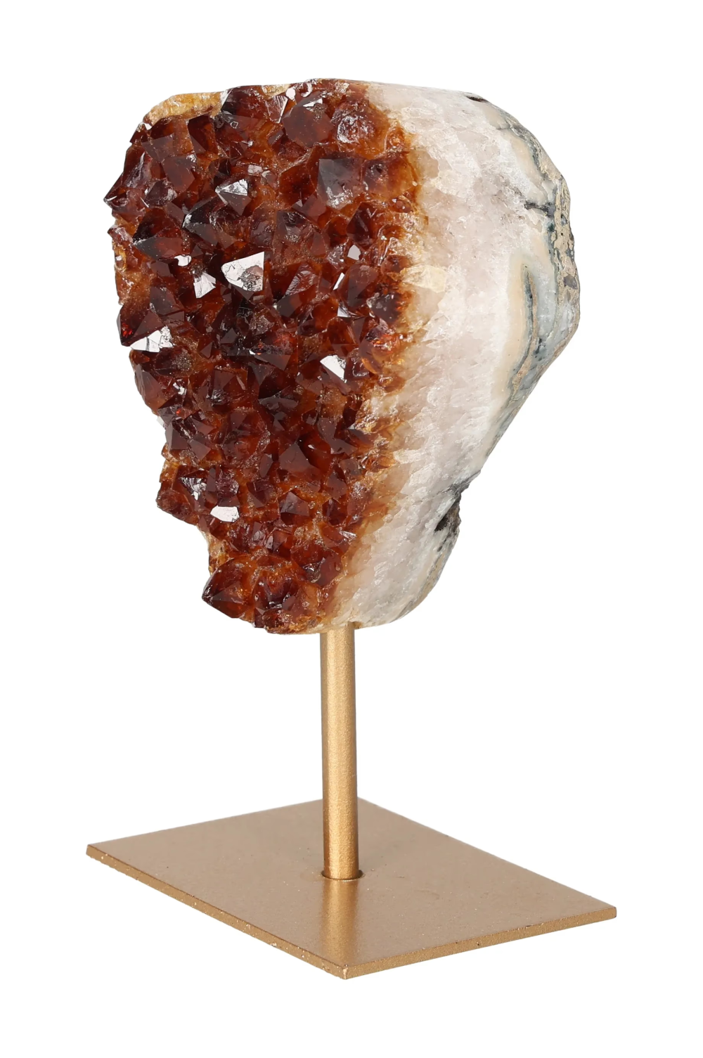 orbitvu|type:image2d