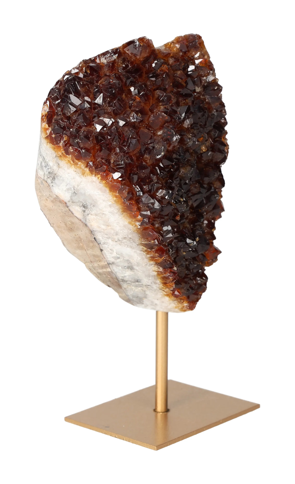 orbitvu|type:image2d