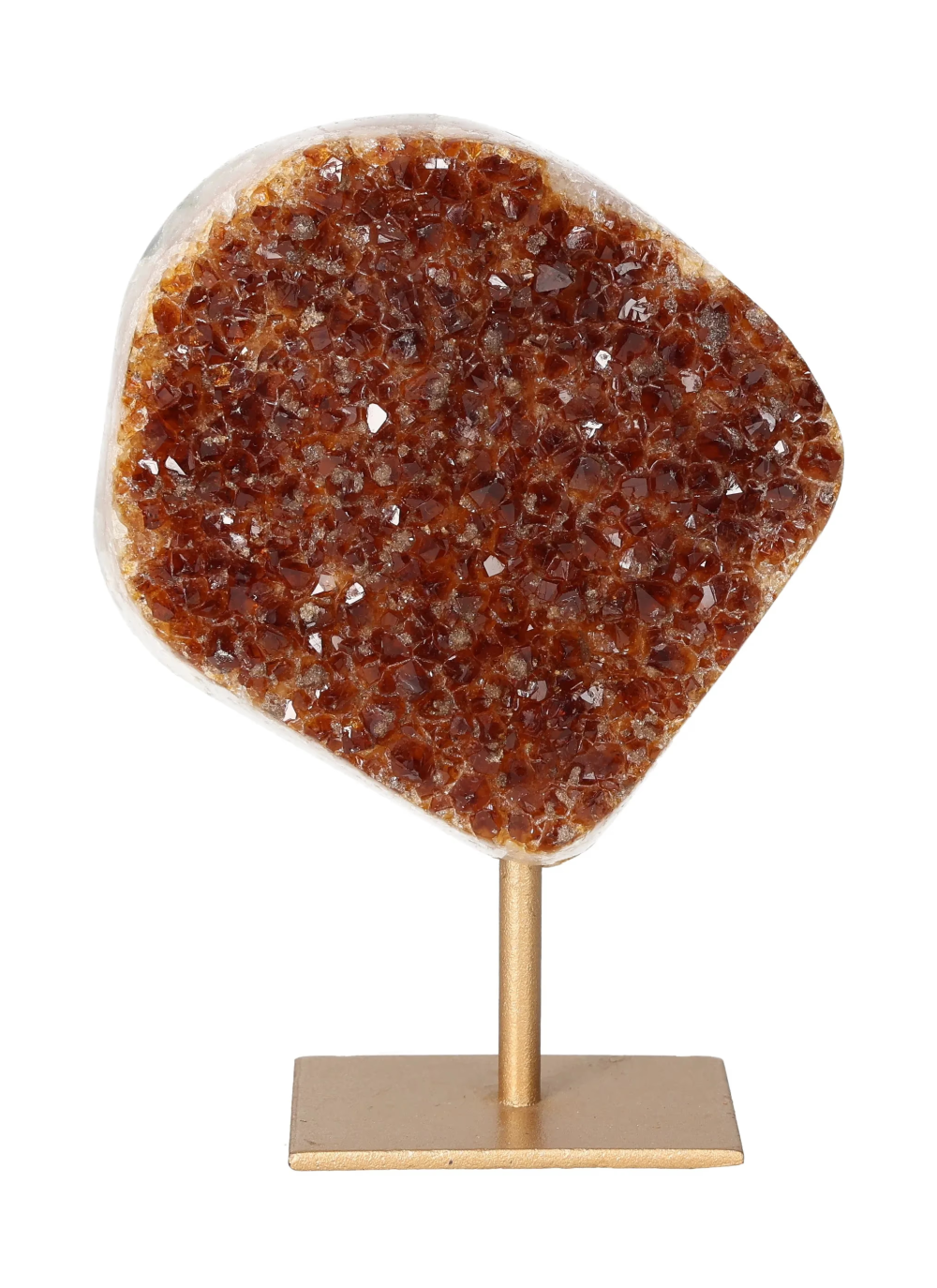 orbitvu|type:image2d