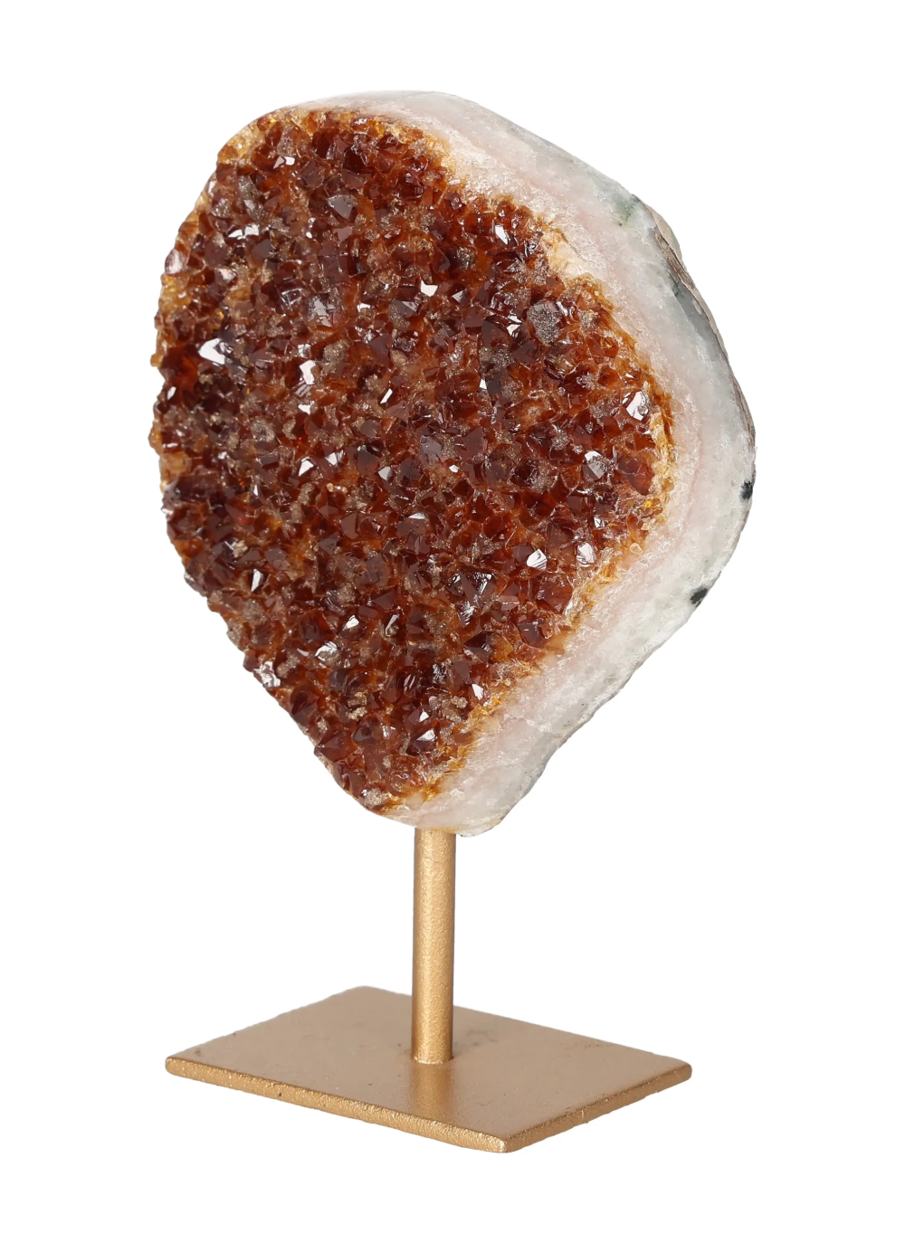 orbitvu|type:image2d