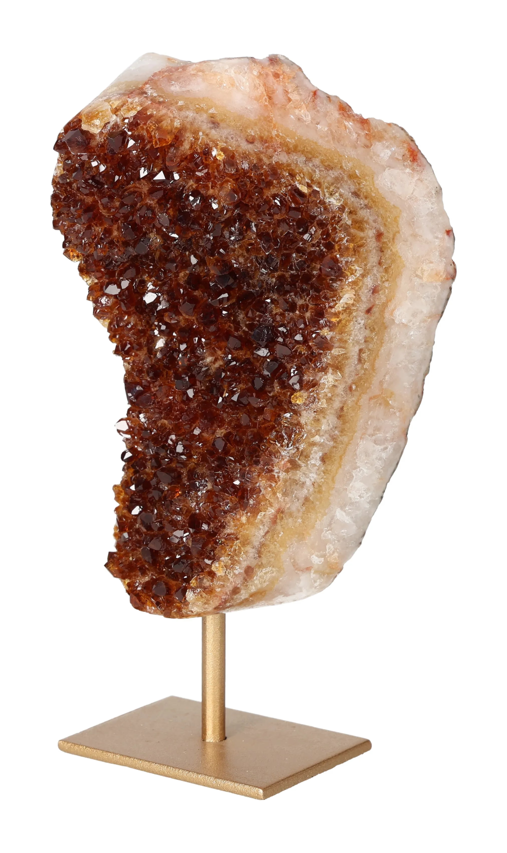 orbitvu|type:image2d