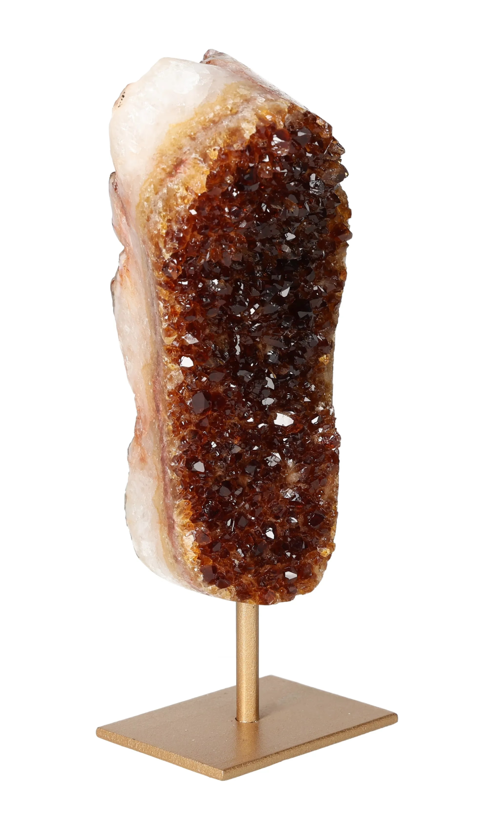 orbitvu|type:image2d