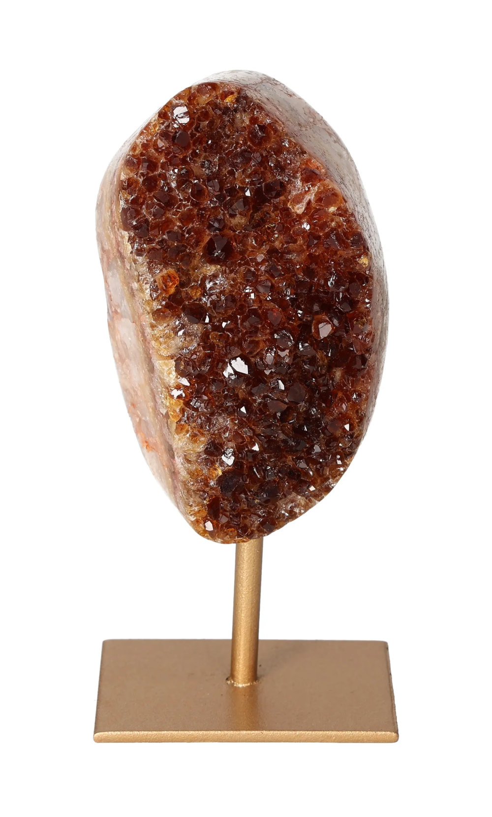 orbitvu|type:image2d