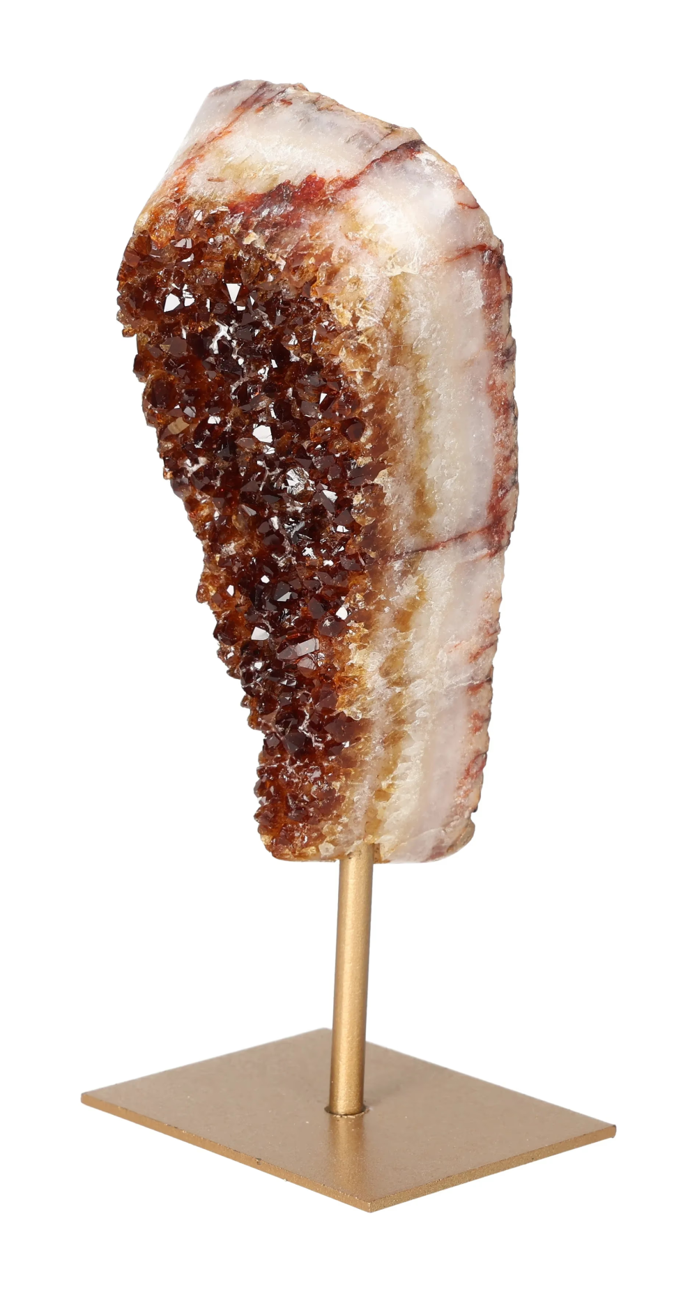 orbitvu|type:image2d