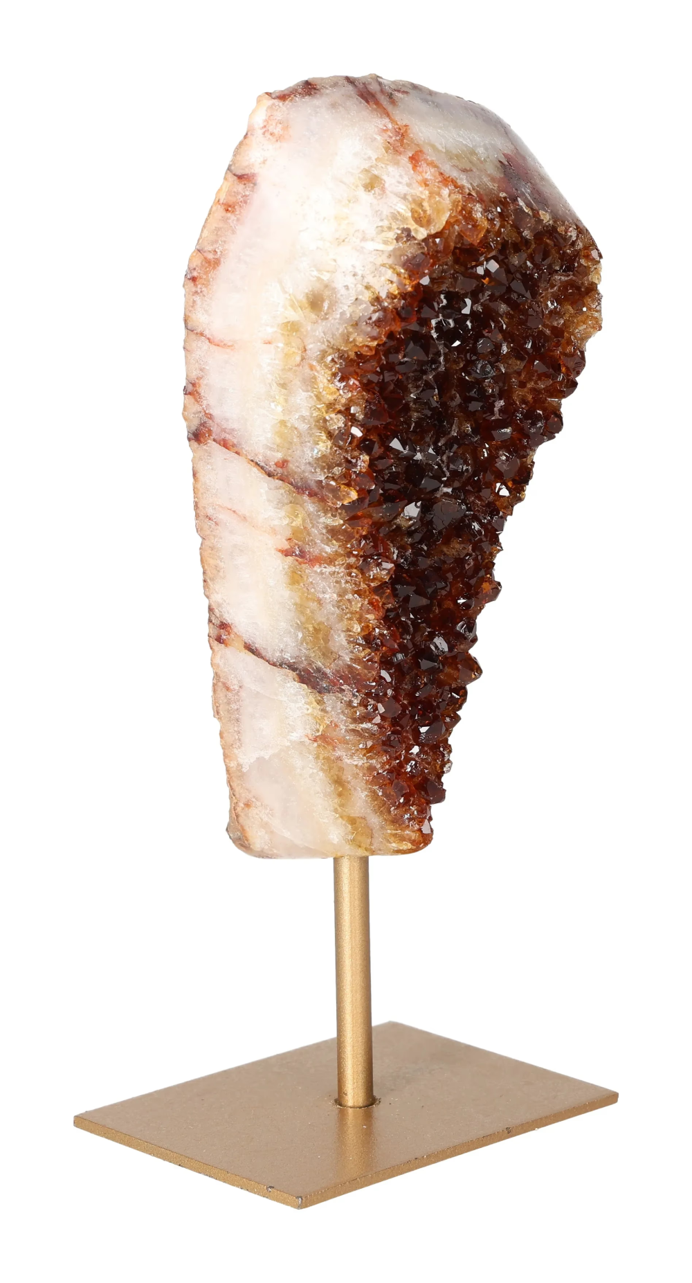 orbitvu|type:image2d