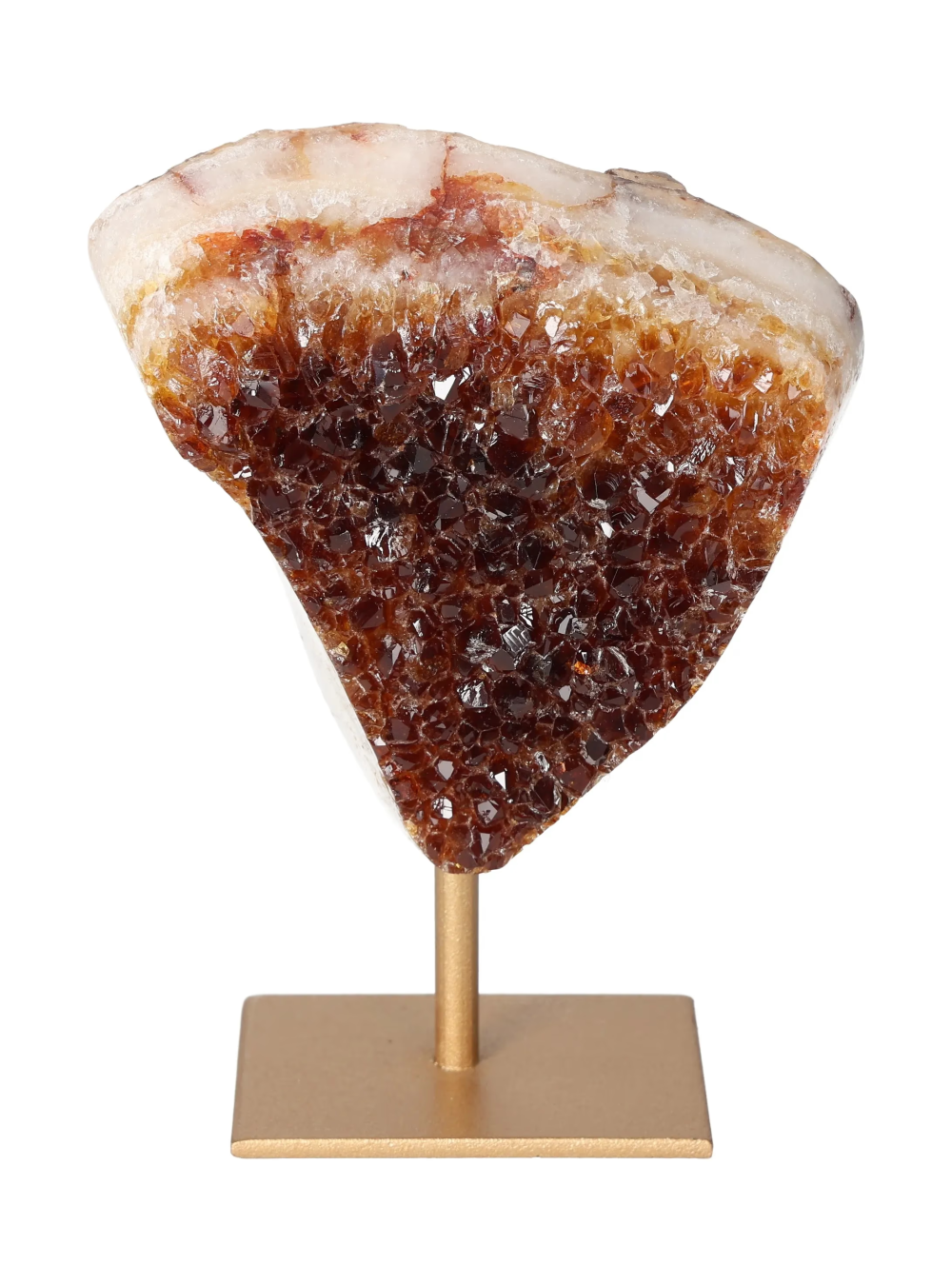 orbitvu|type:image2d