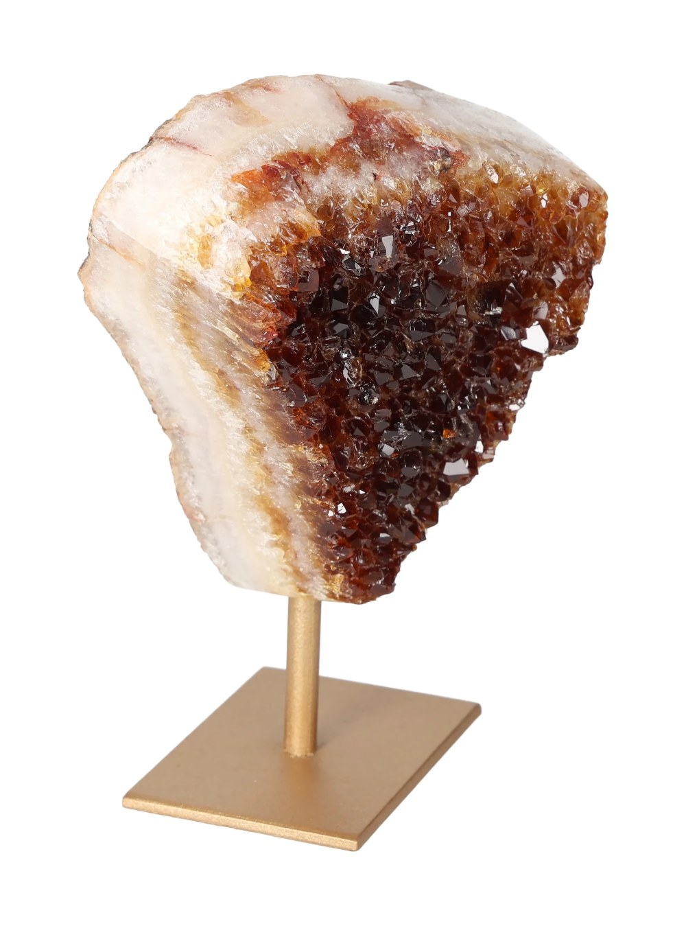 orbitvu|type:image2d