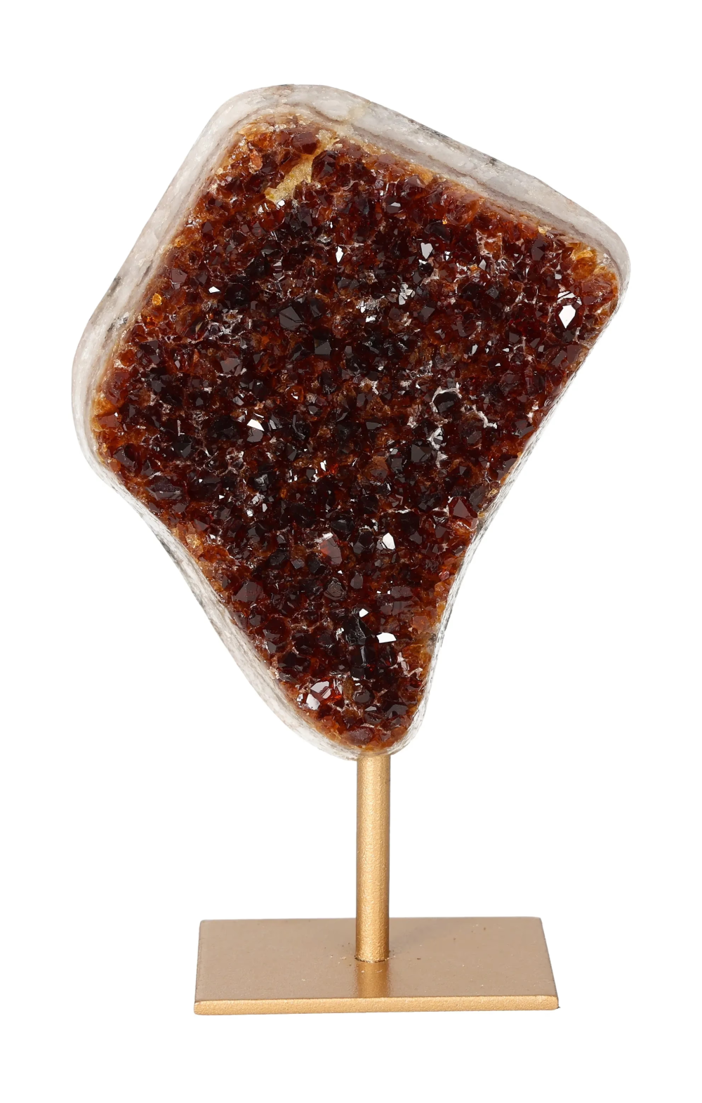 orbitvu|type:image2d