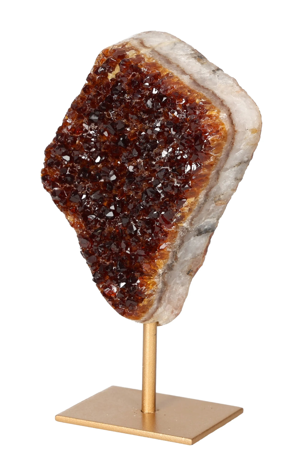 orbitvu|type:image2d