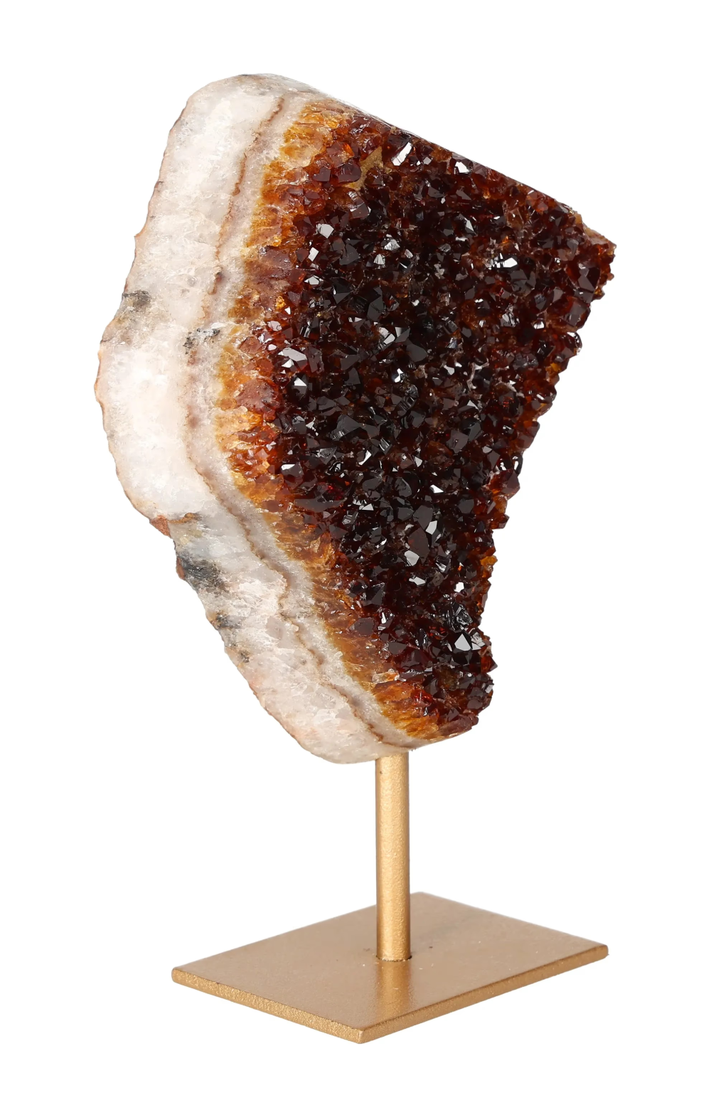 orbitvu|type:image2d