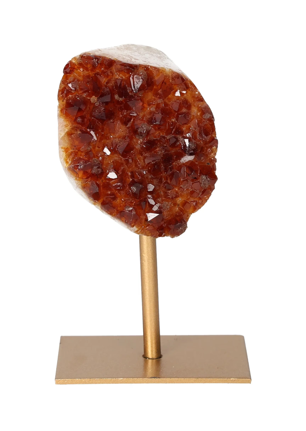 orbitvu|type:image2d