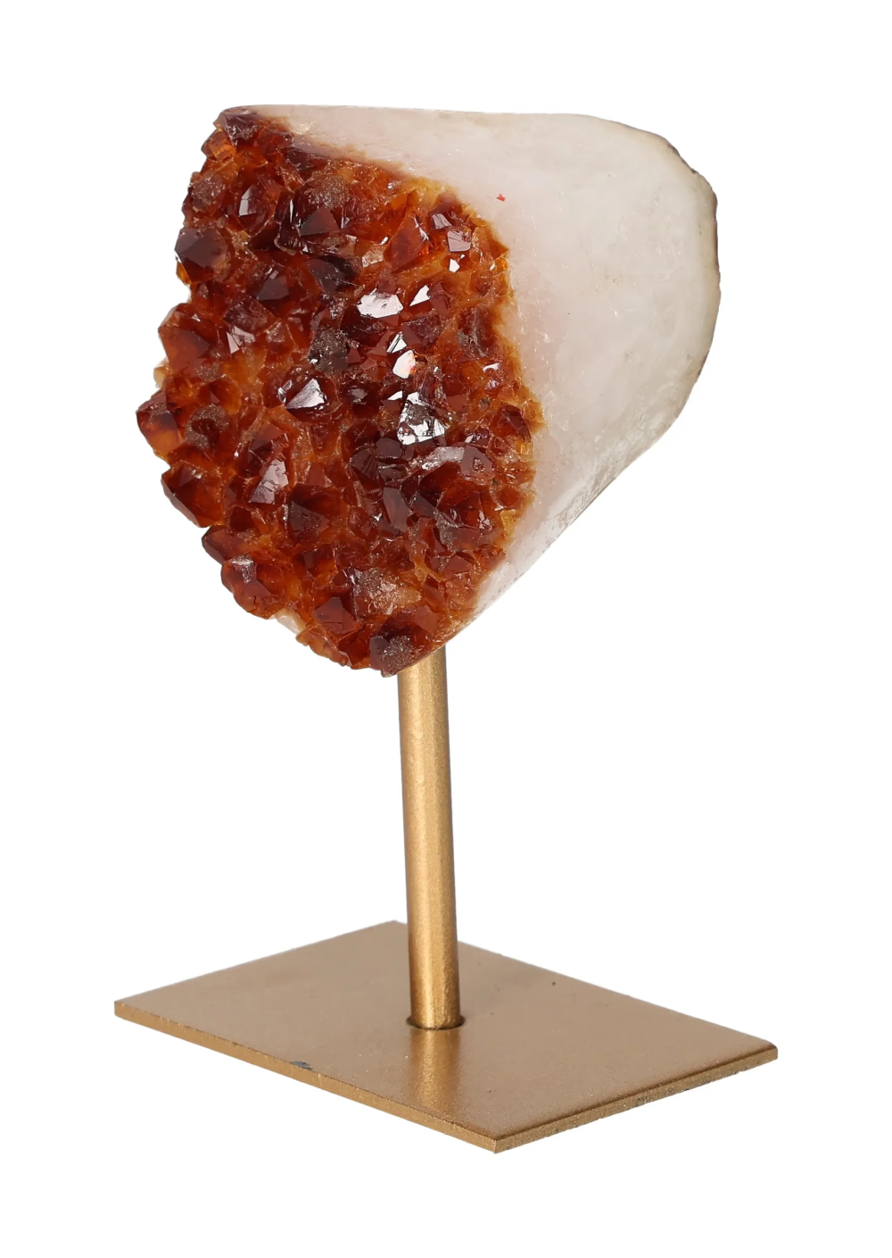 orbitvu|type:image2d