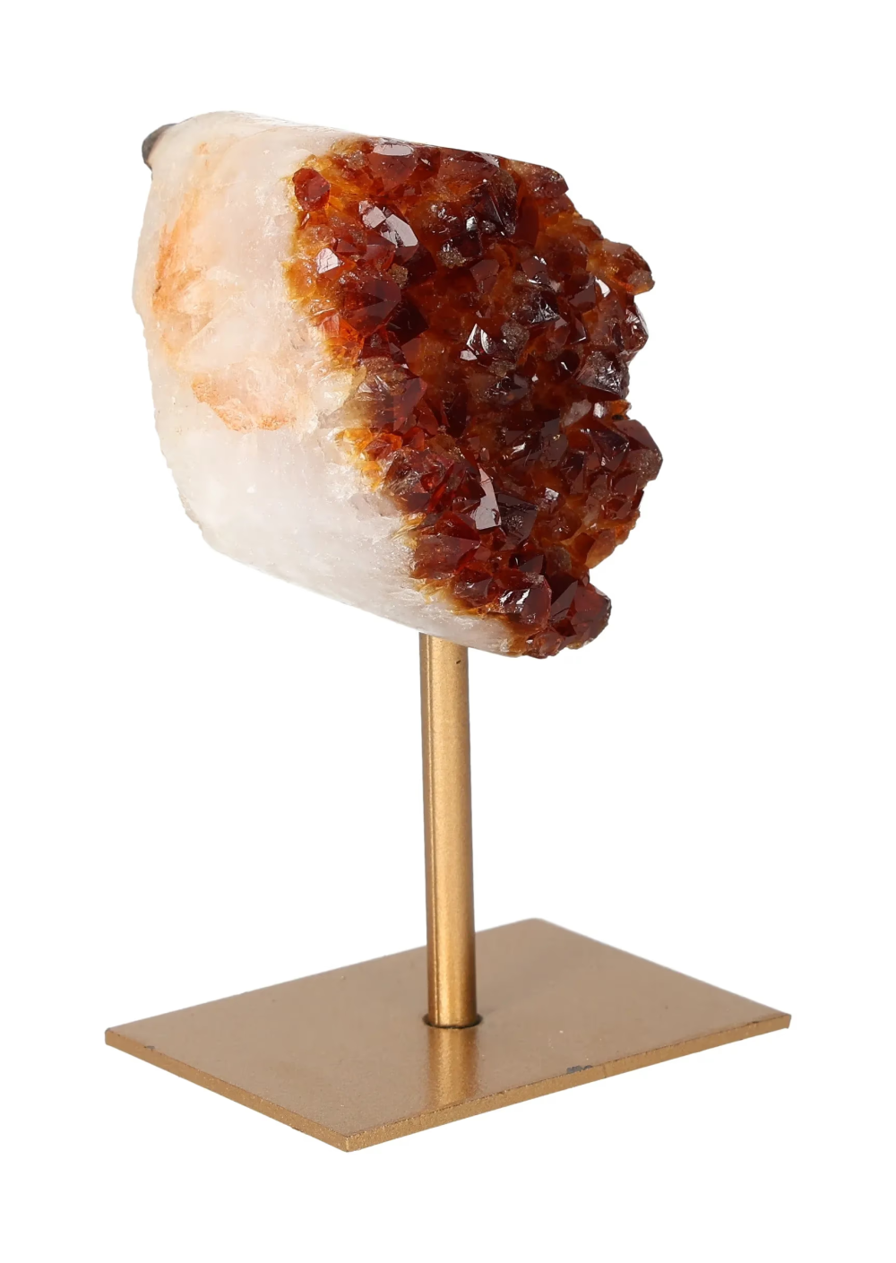 orbitvu|type:image2d