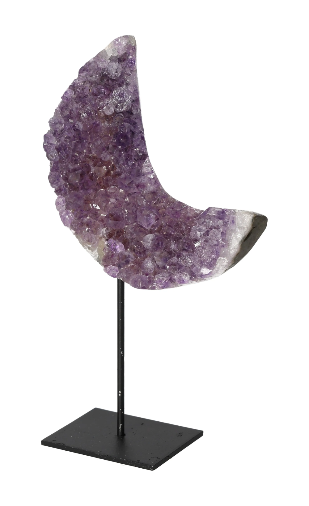 orbitvu|type:image2d