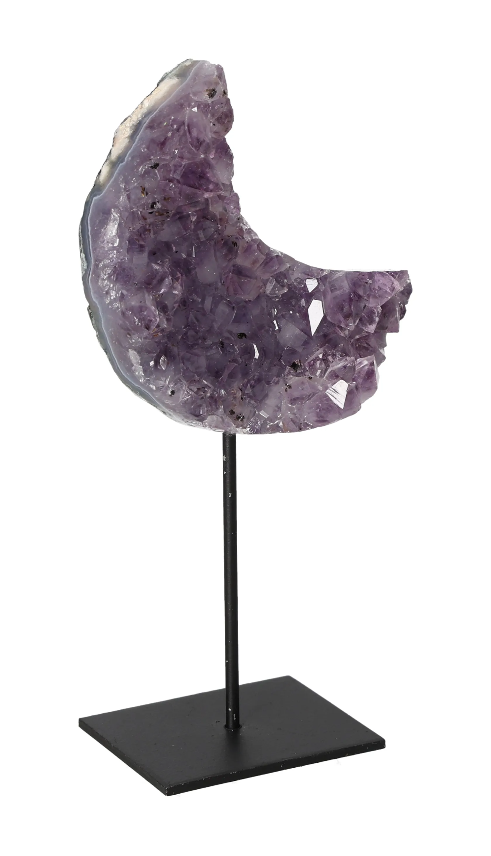 orbitvu|type:image2d