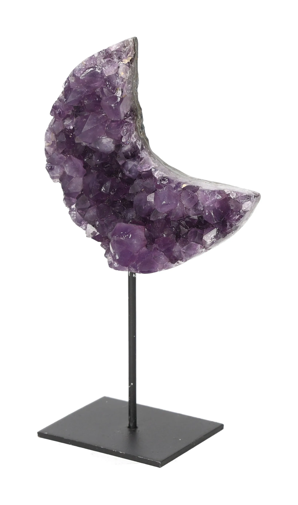 orbitvu|type:image2d