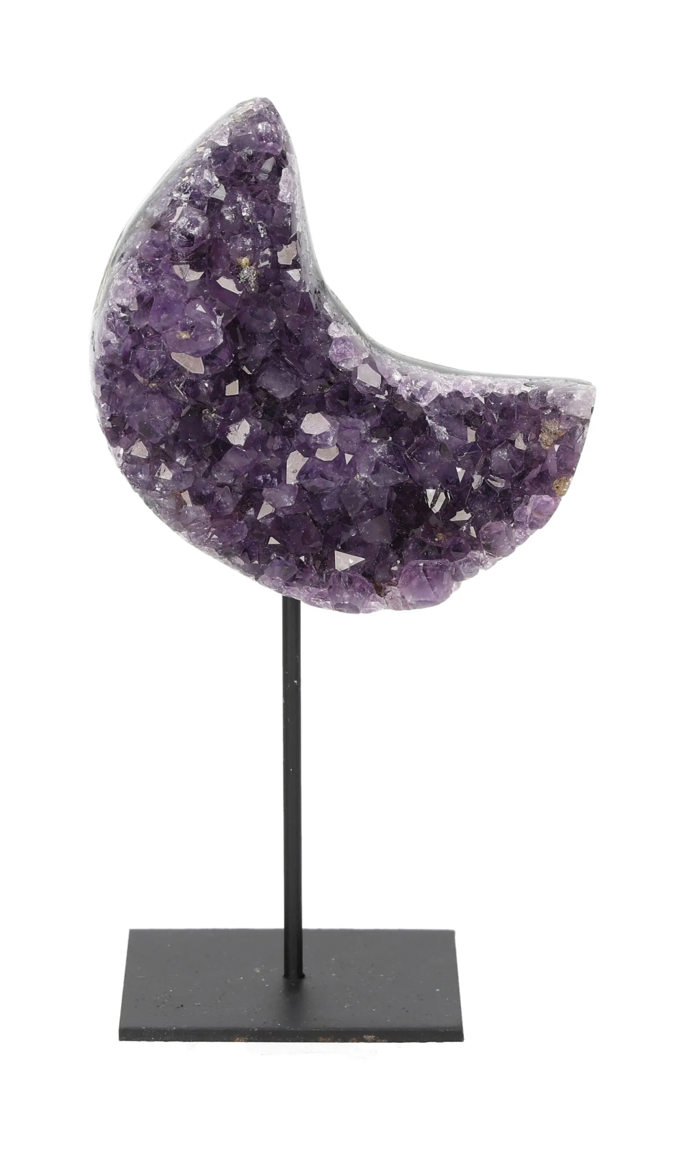 orbitvu|type:image2d