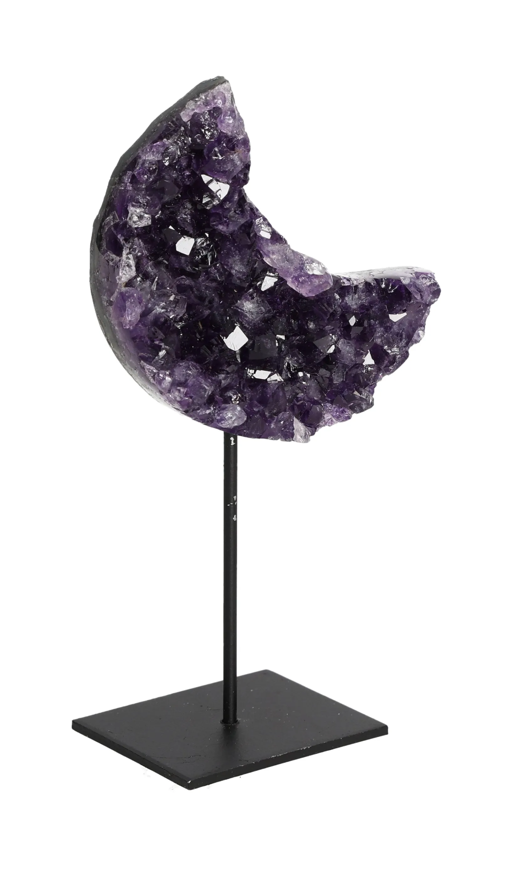 orbitvu|type:image2d