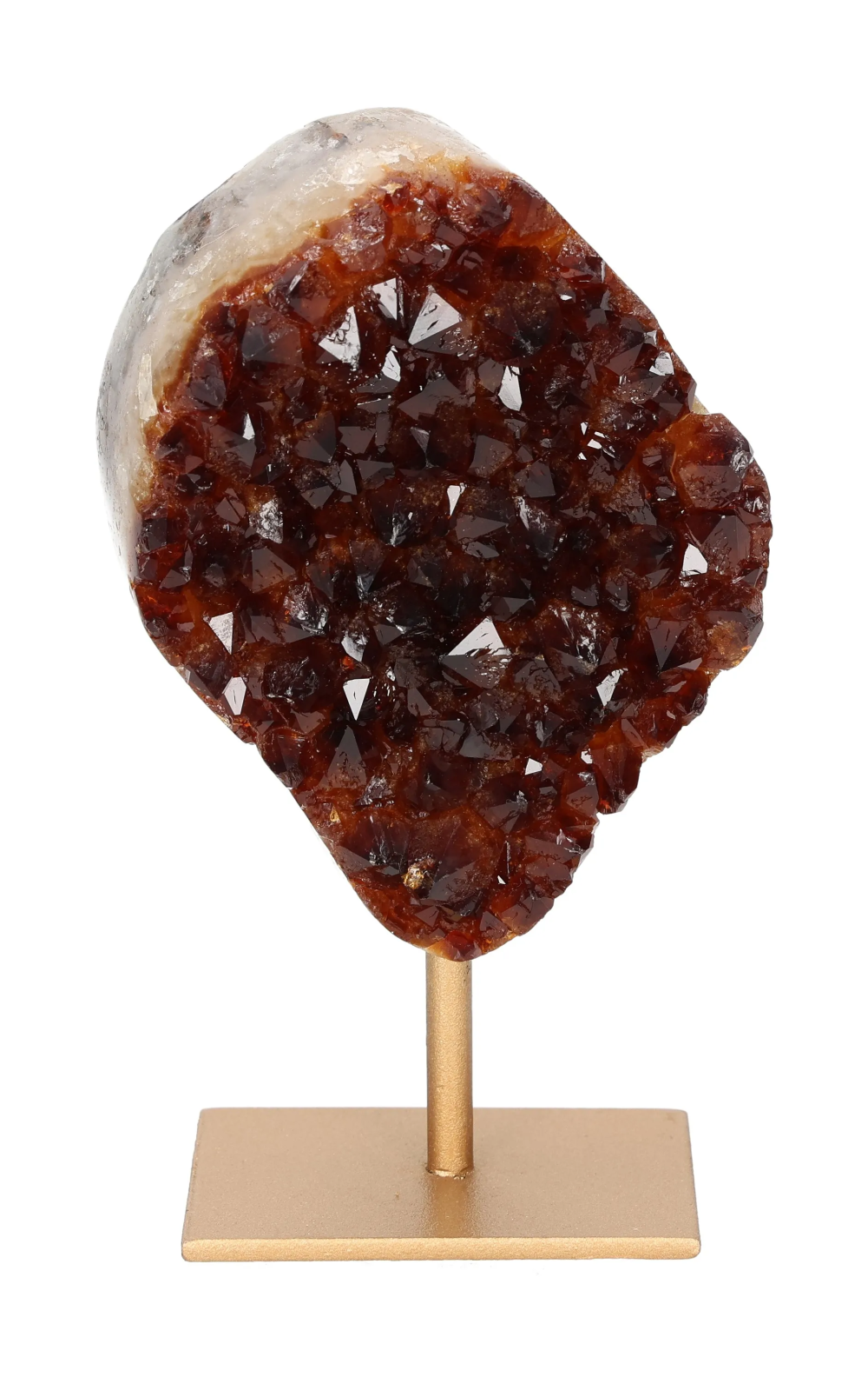 orbitvu|type:image2d