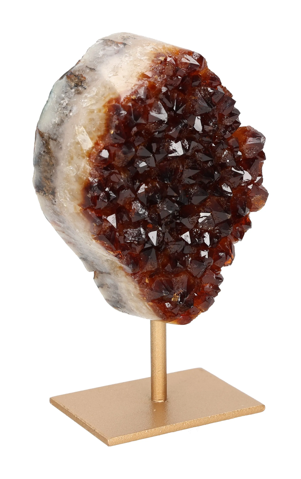 orbitvu|type:image2d