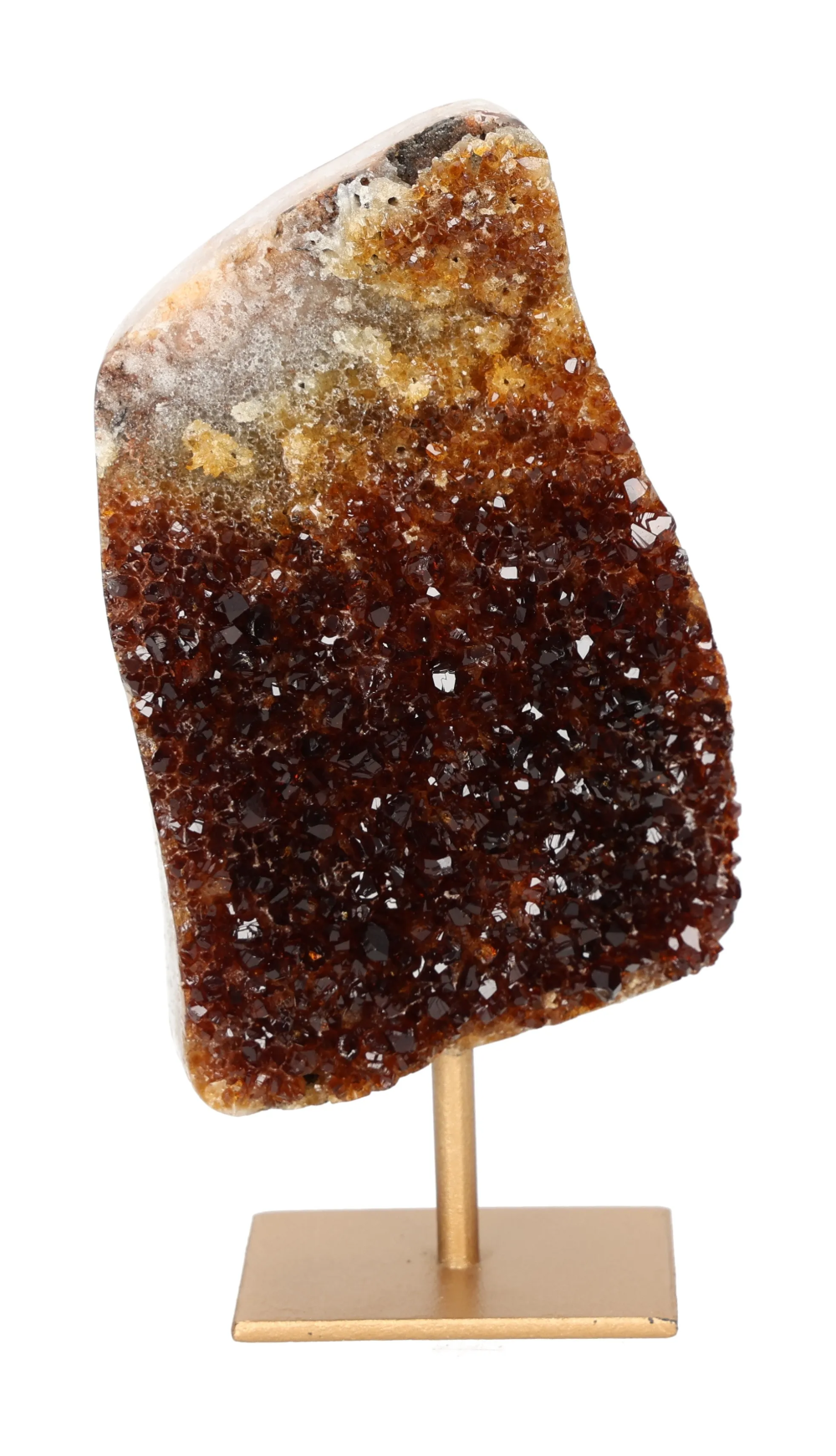 orbitvu|type:image2d