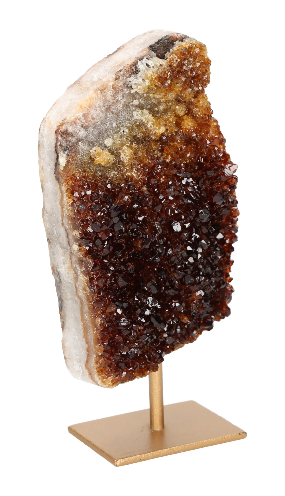 orbitvu|type:image2d