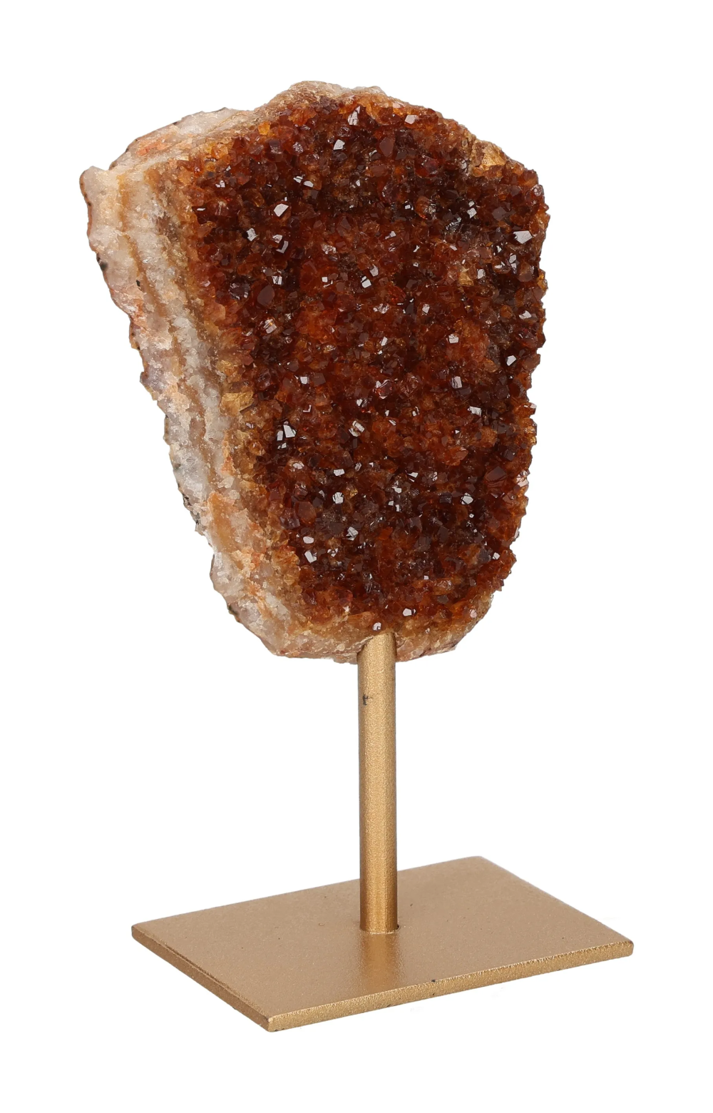 orbitvu|type:image2d