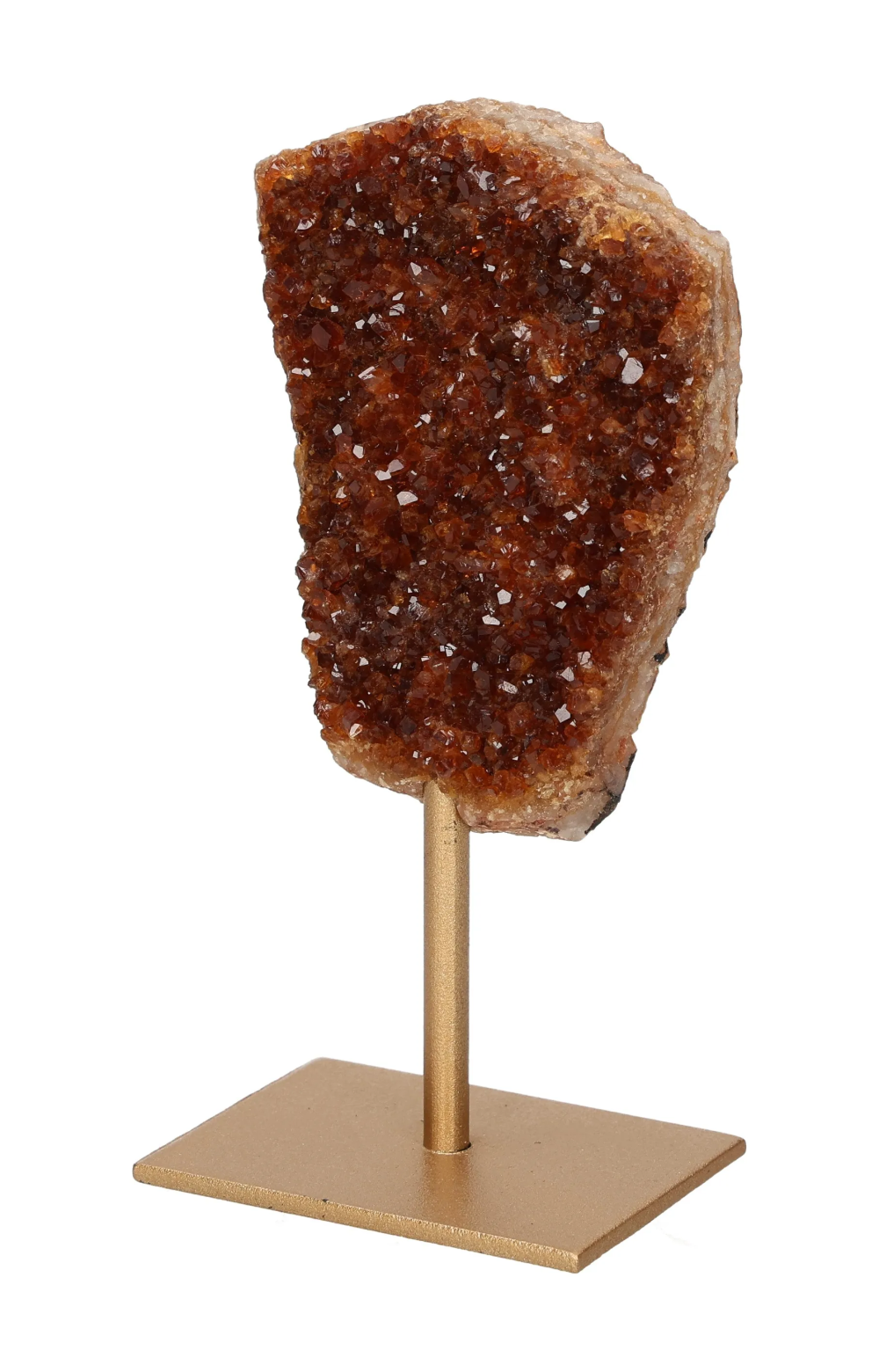 orbitvu|type:image2d