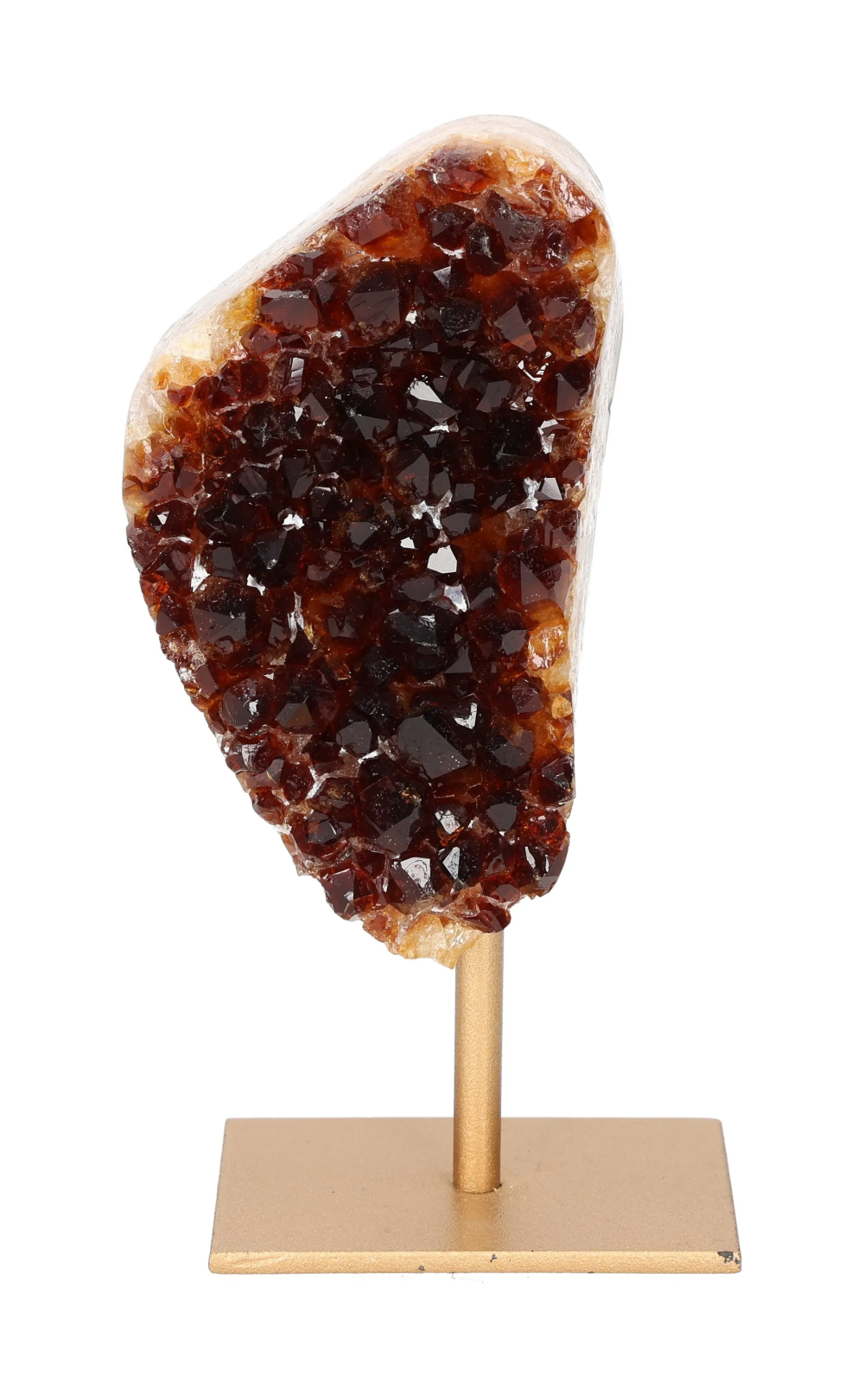 orbitvu|type:image2d