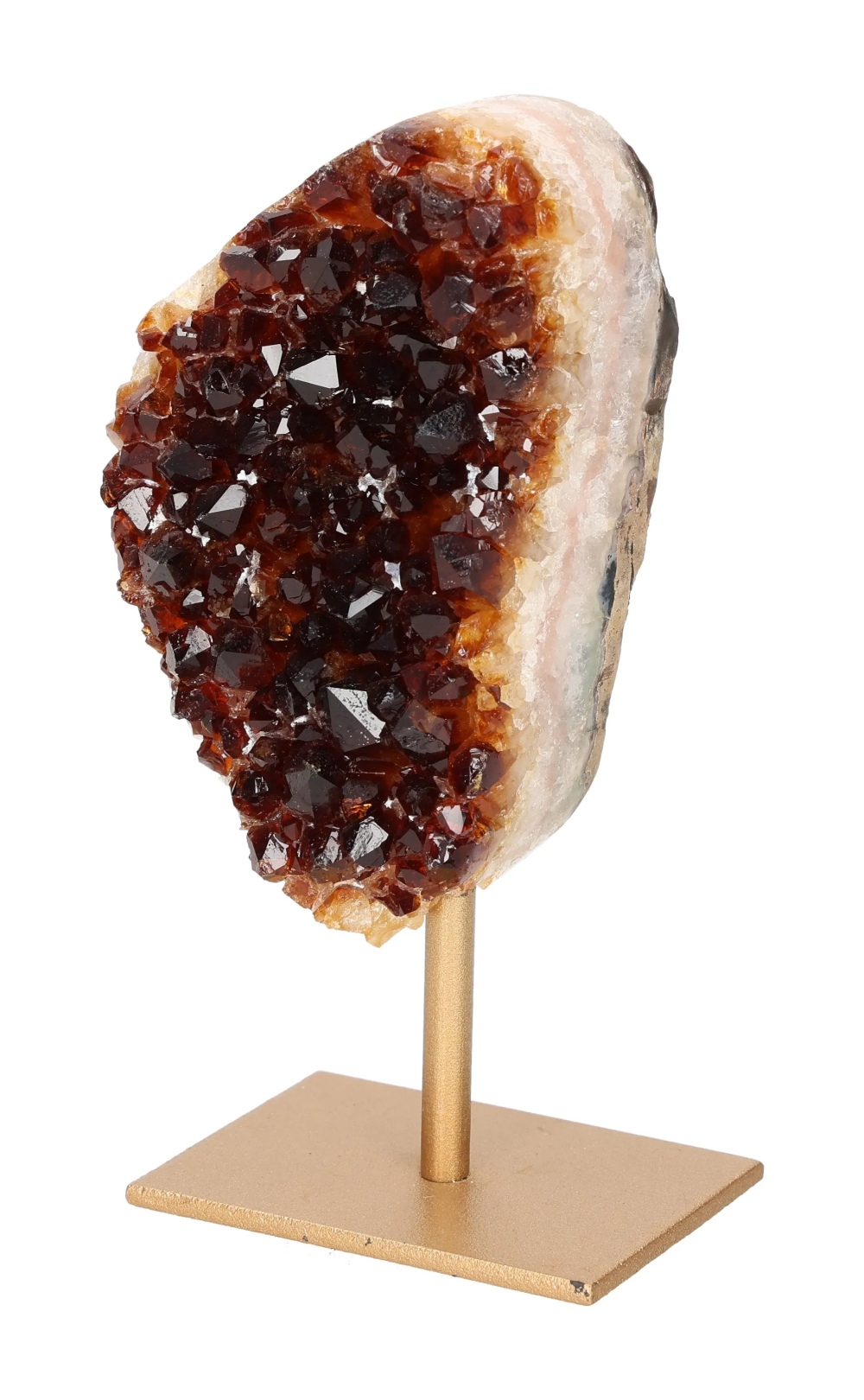 orbitvu|type:image2d