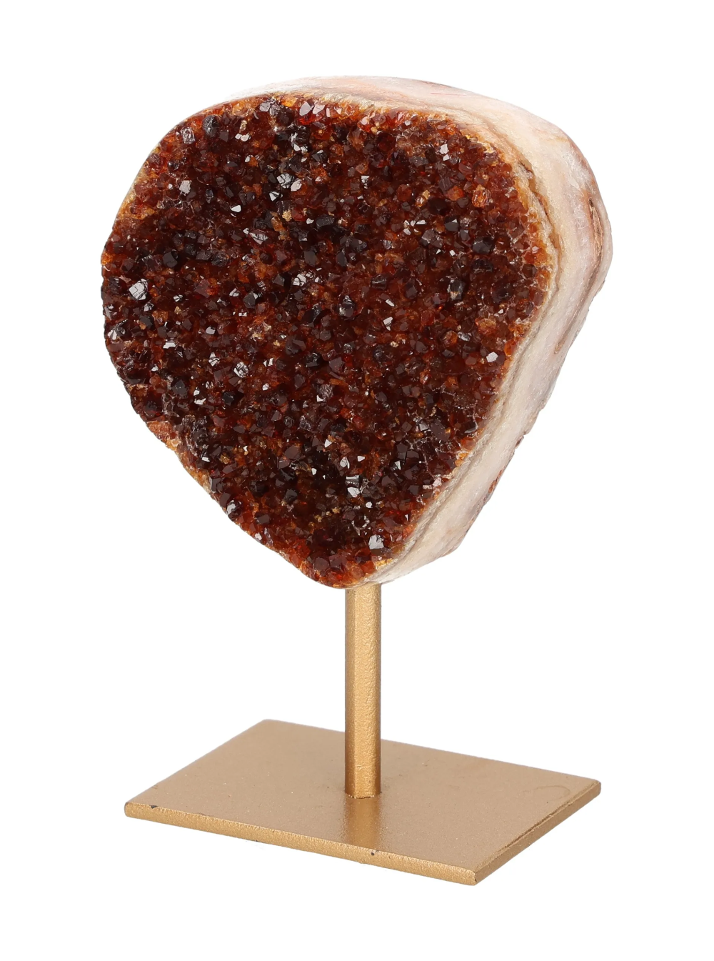 orbitvu|type:image2d