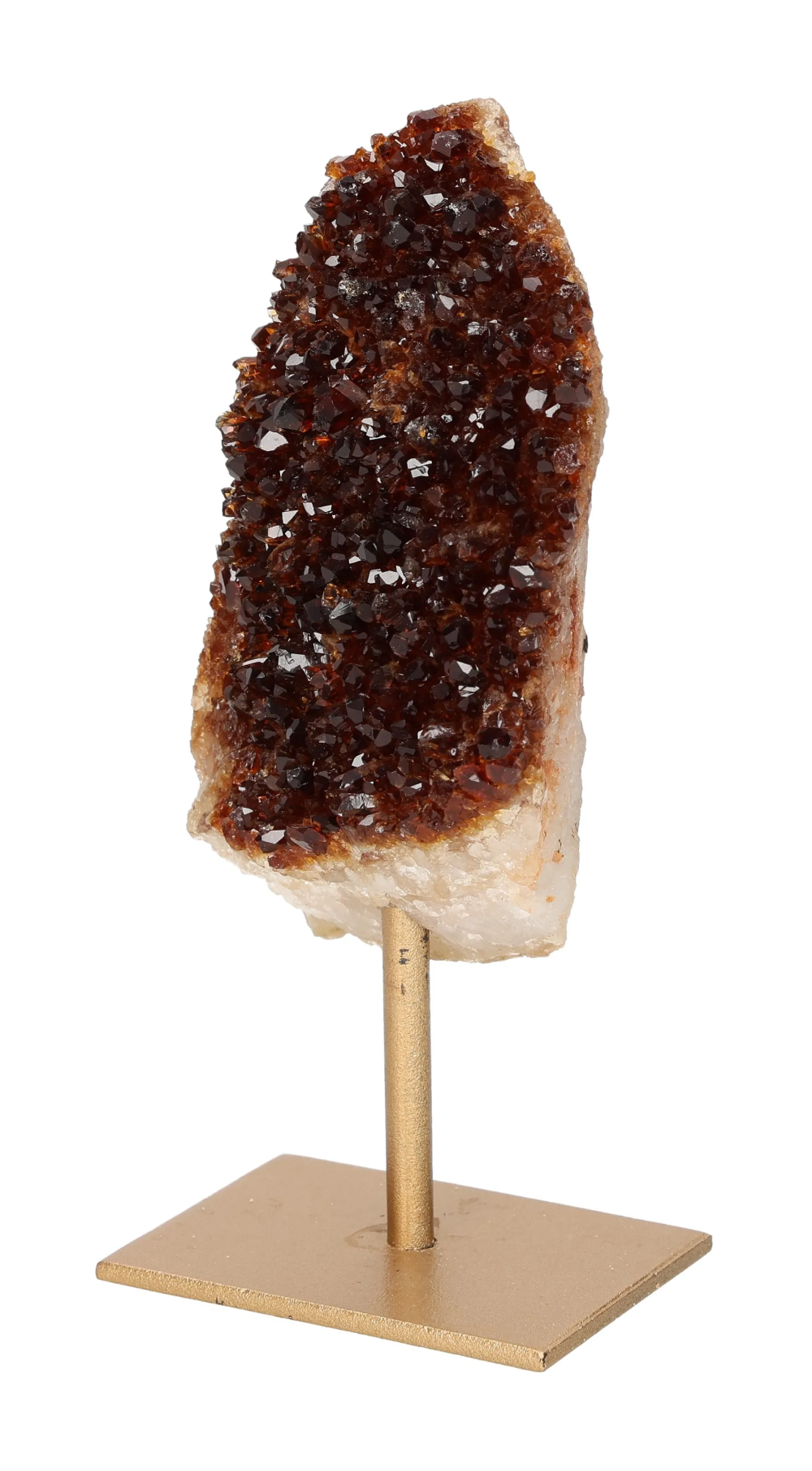 orbitvu|type:image2d