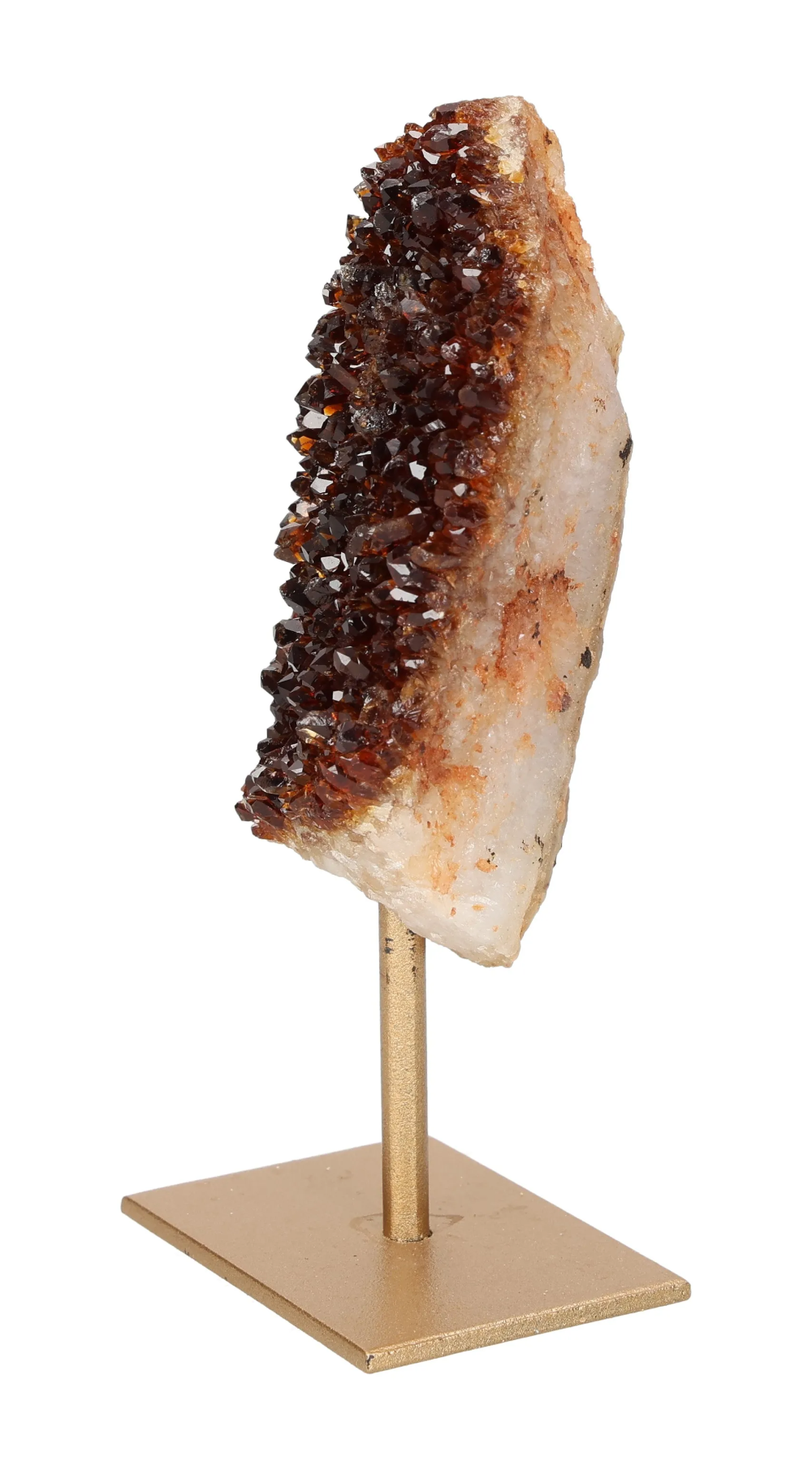 orbitvu|type:image2d