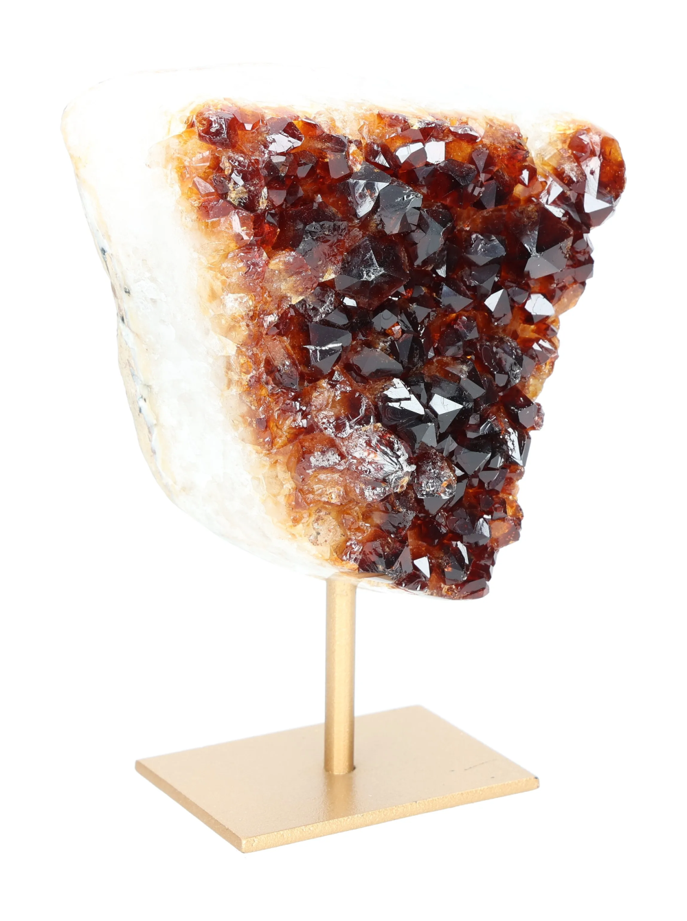 orbitvu|type:image2d