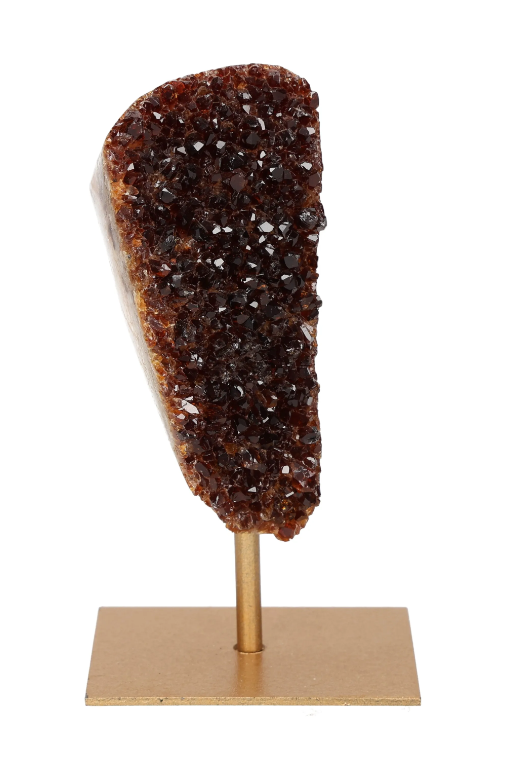 orbitvu|type:image2d