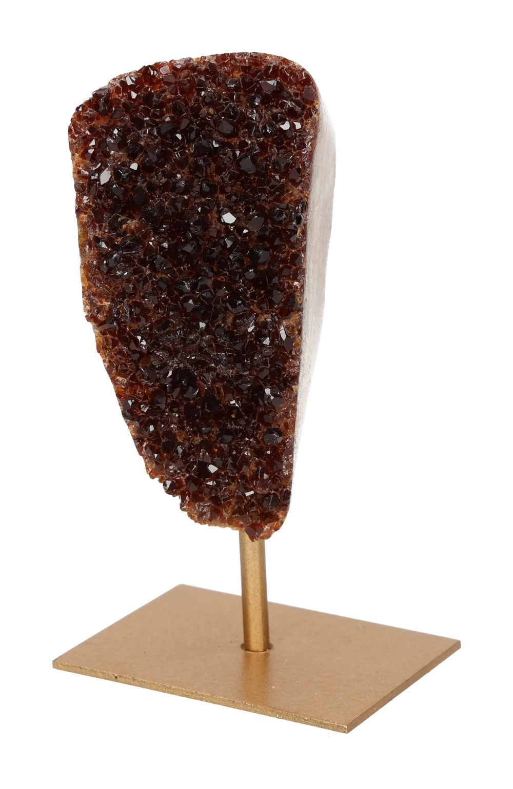 orbitvu|type:image2d