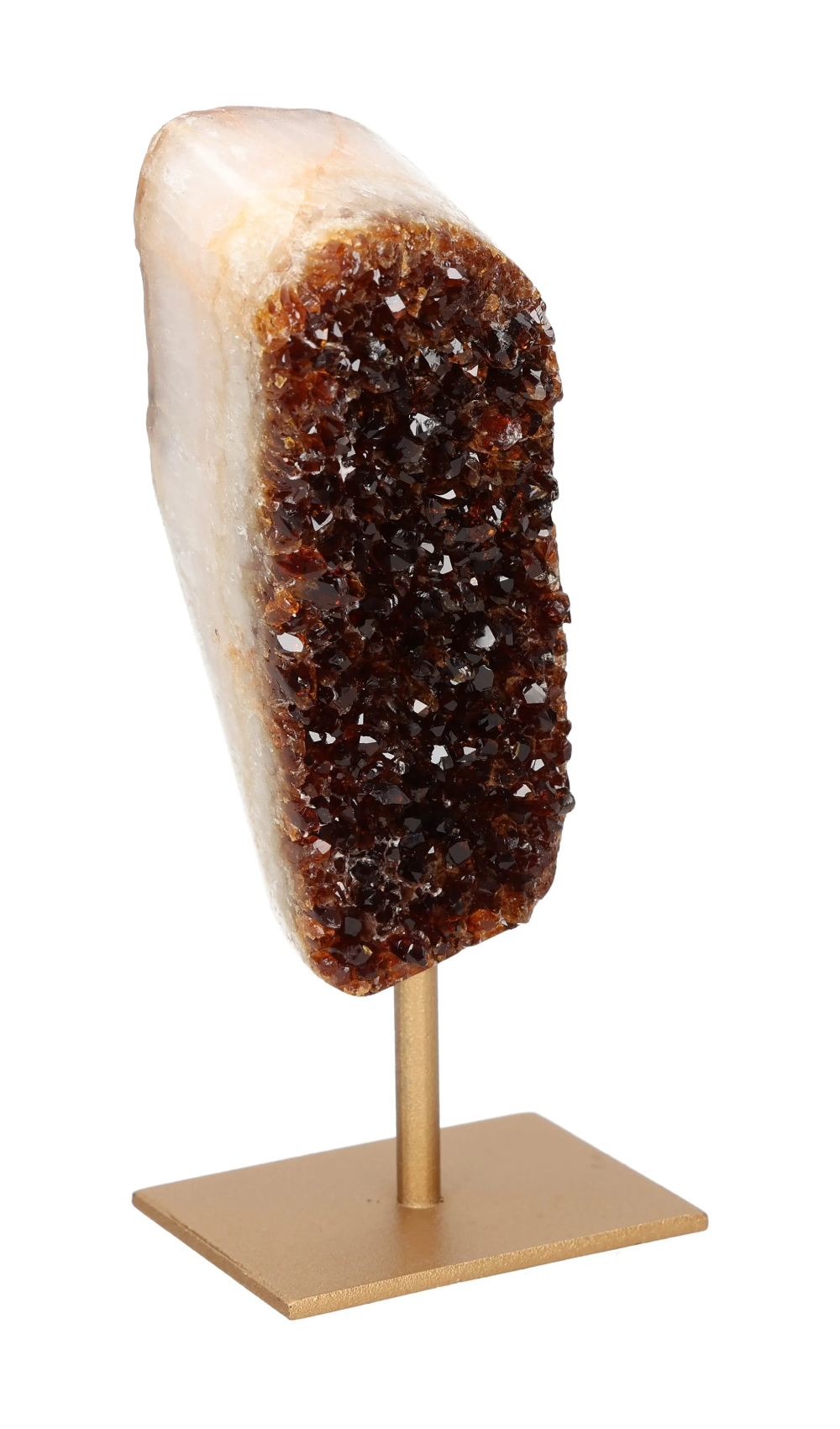 orbitvu|type:image2d