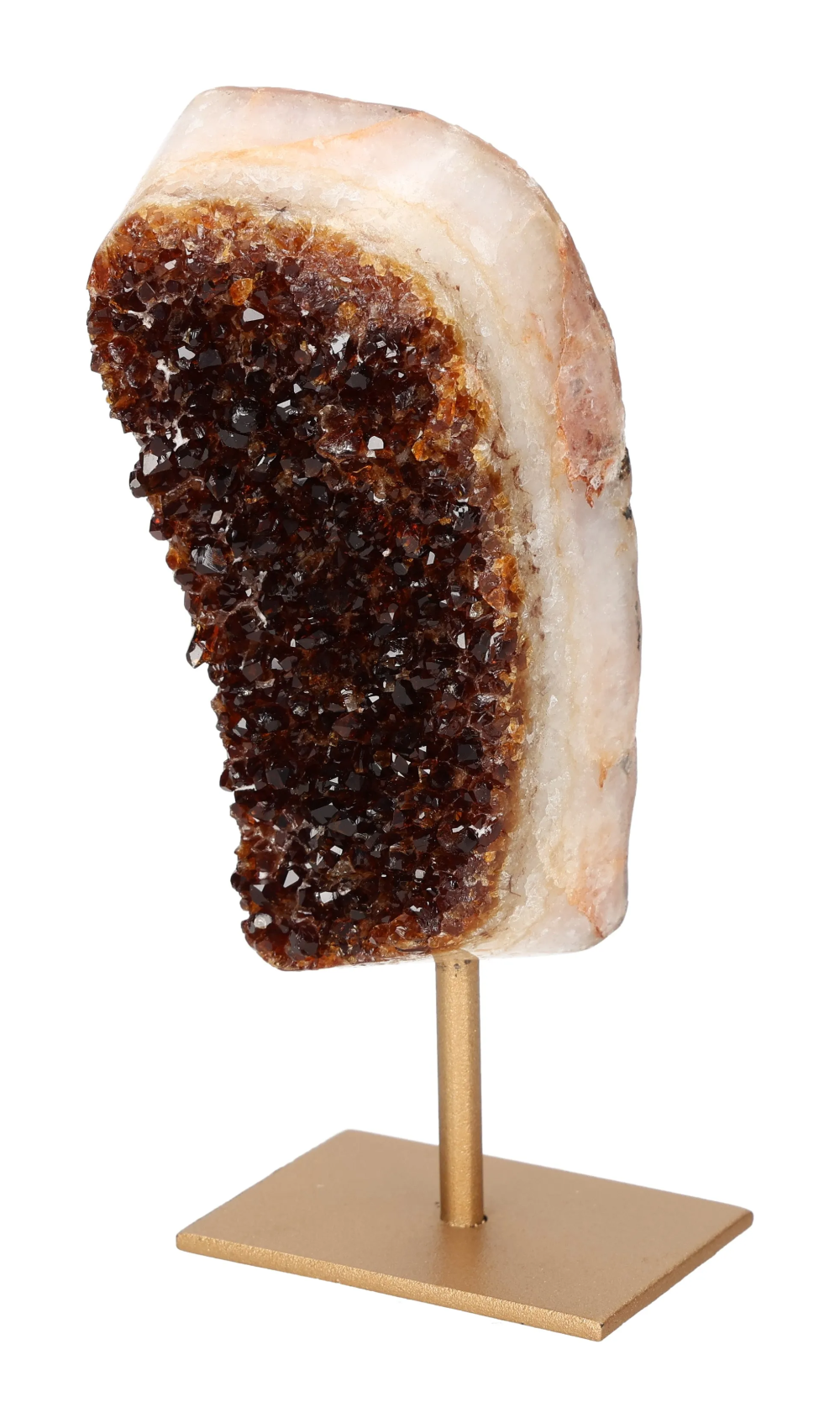 orbitvu|type:image2d