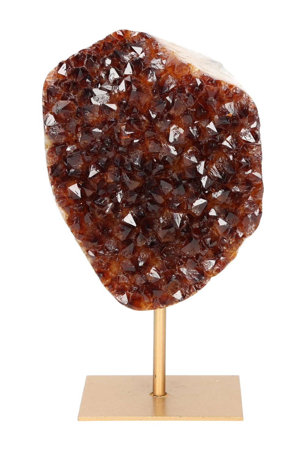 orbitvu|type:image2d