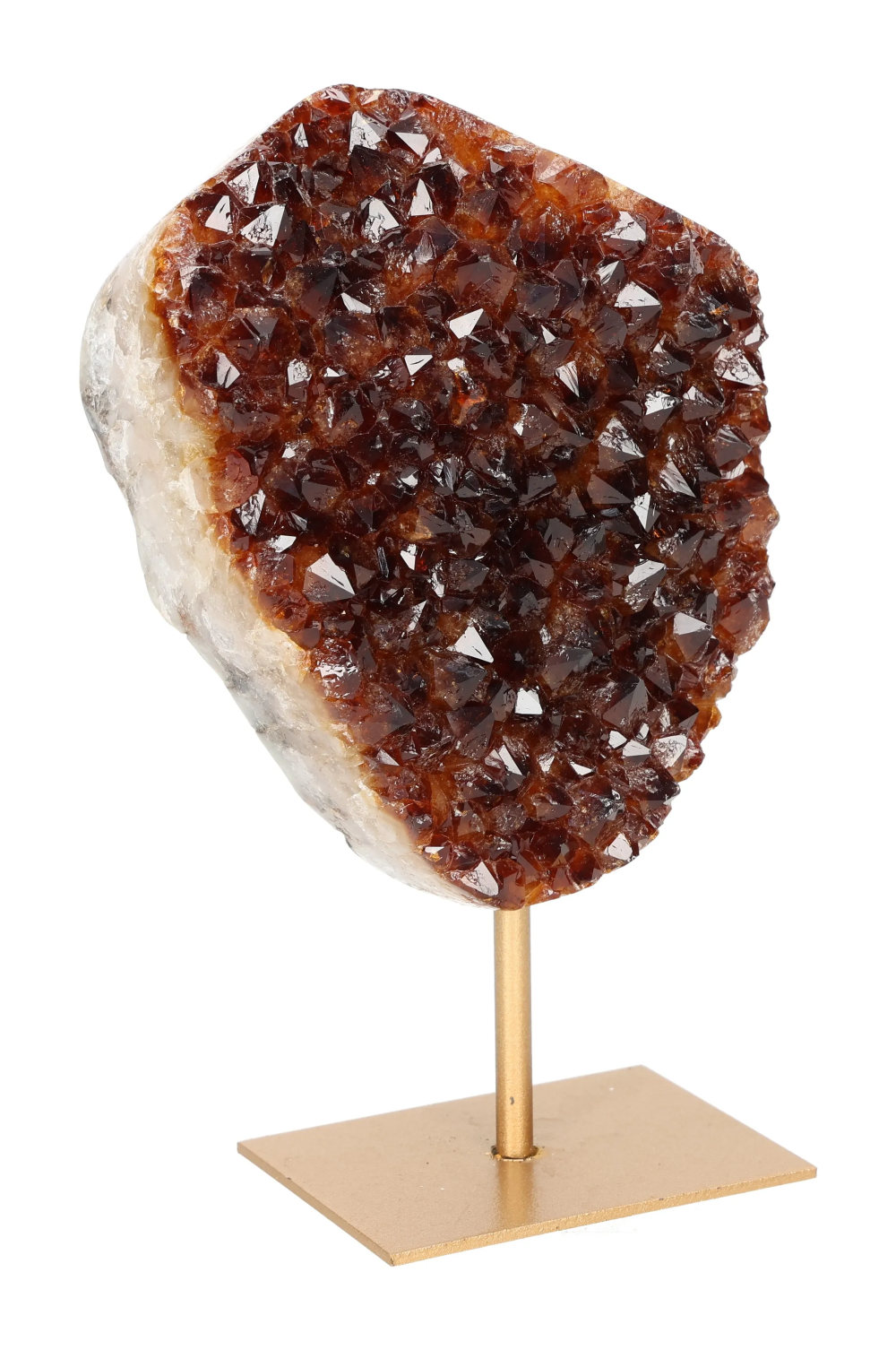 orbitvu|type:image2d