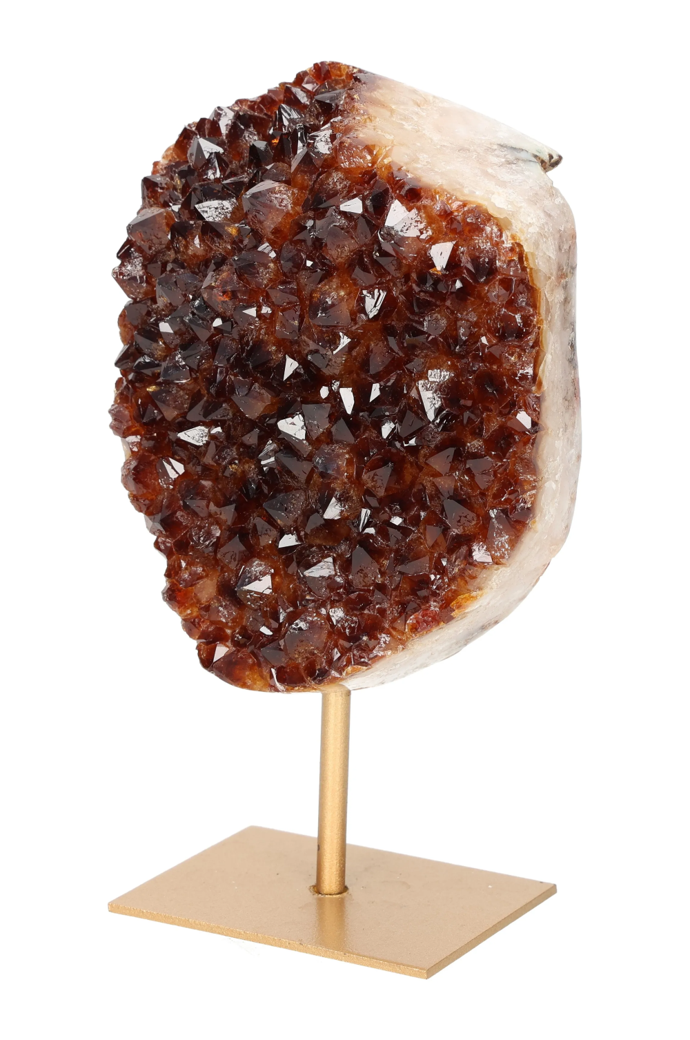 orbitvu|type:image2d