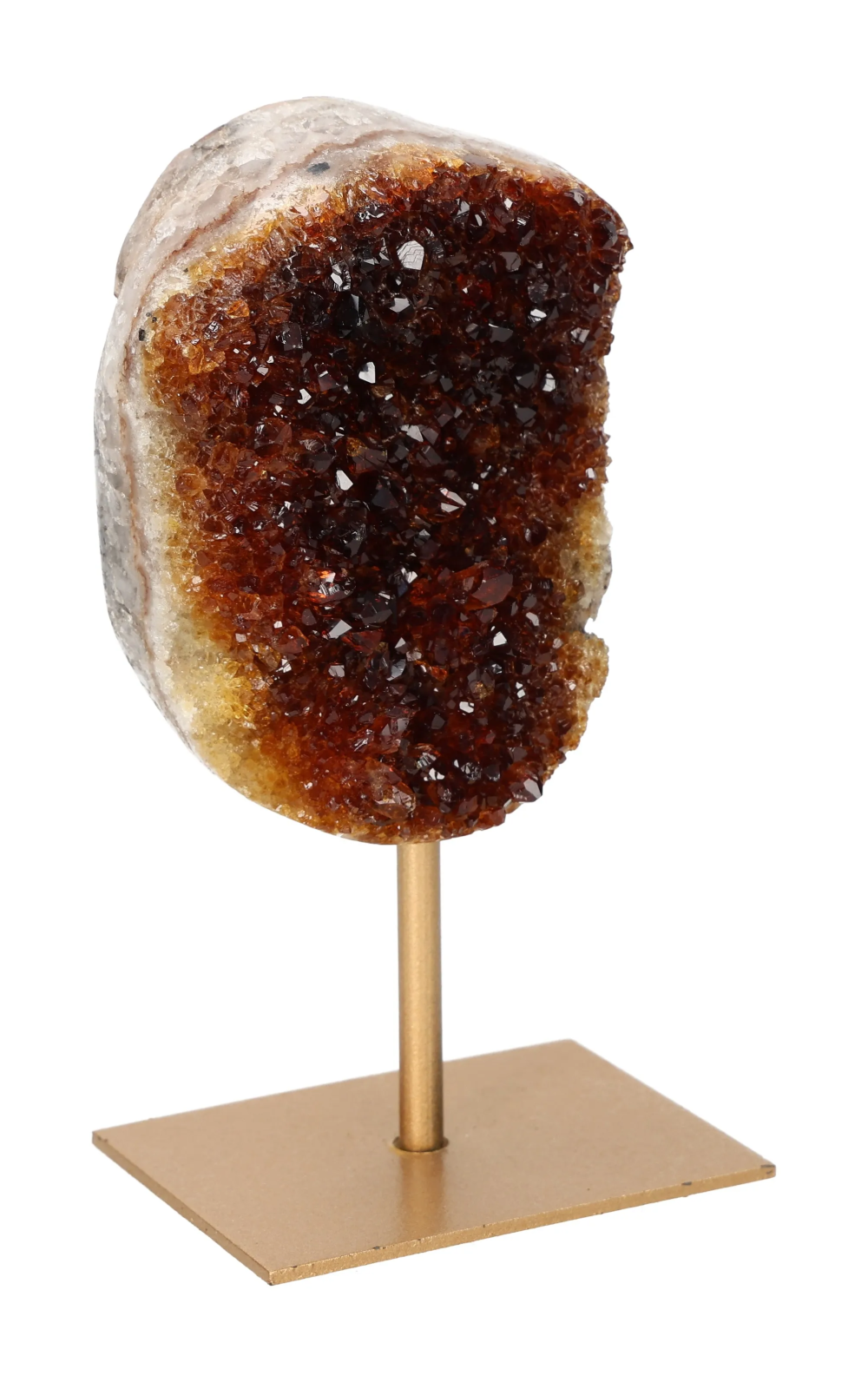 orbitvu|type:image2d