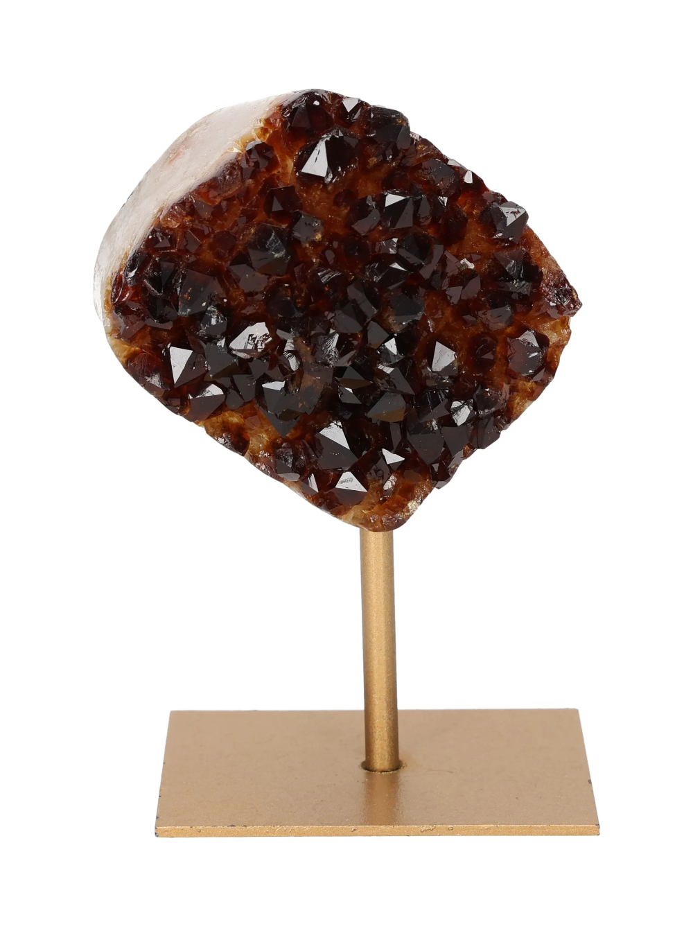 orbitvu|type:image2d