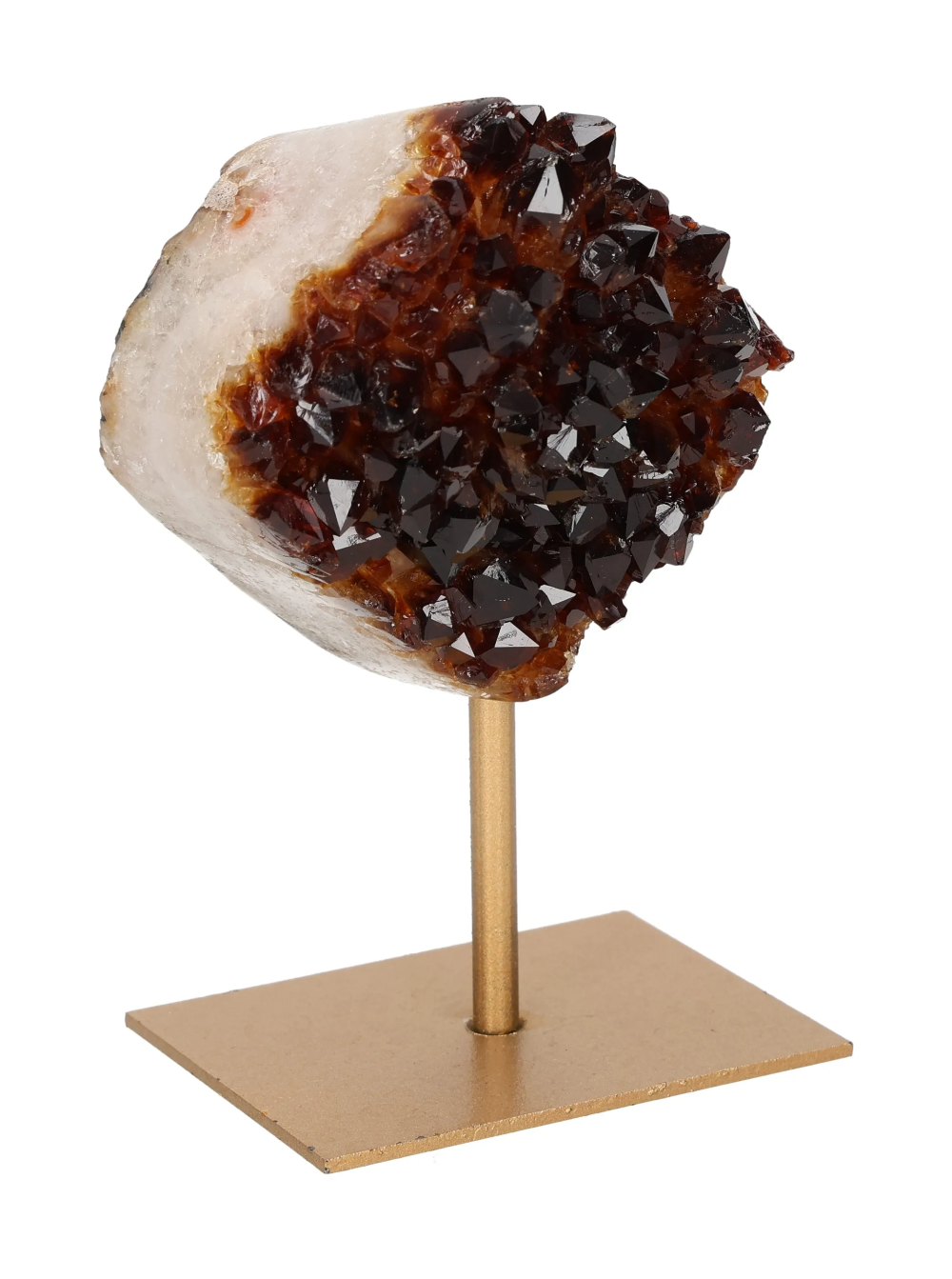 orbitvu|type:image2d